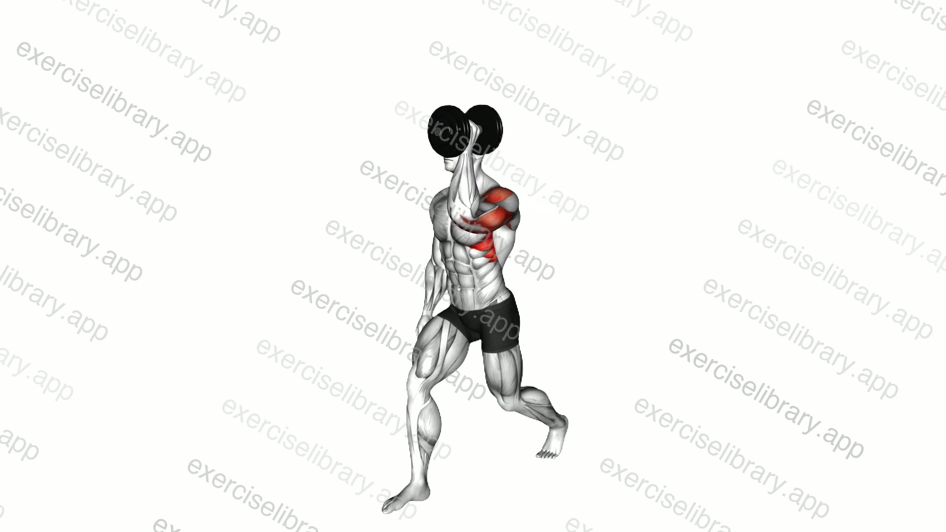 Dumbbell Split Stance Single Arm Overhead Press demonstration