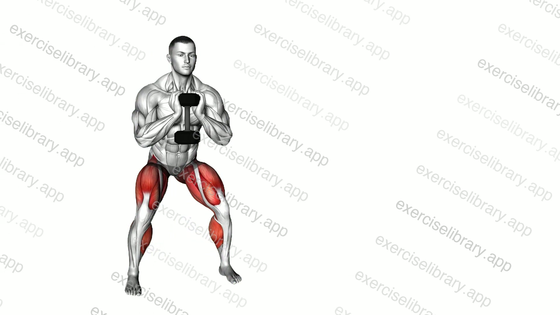 Dumbbell Lateral Walk demonstration