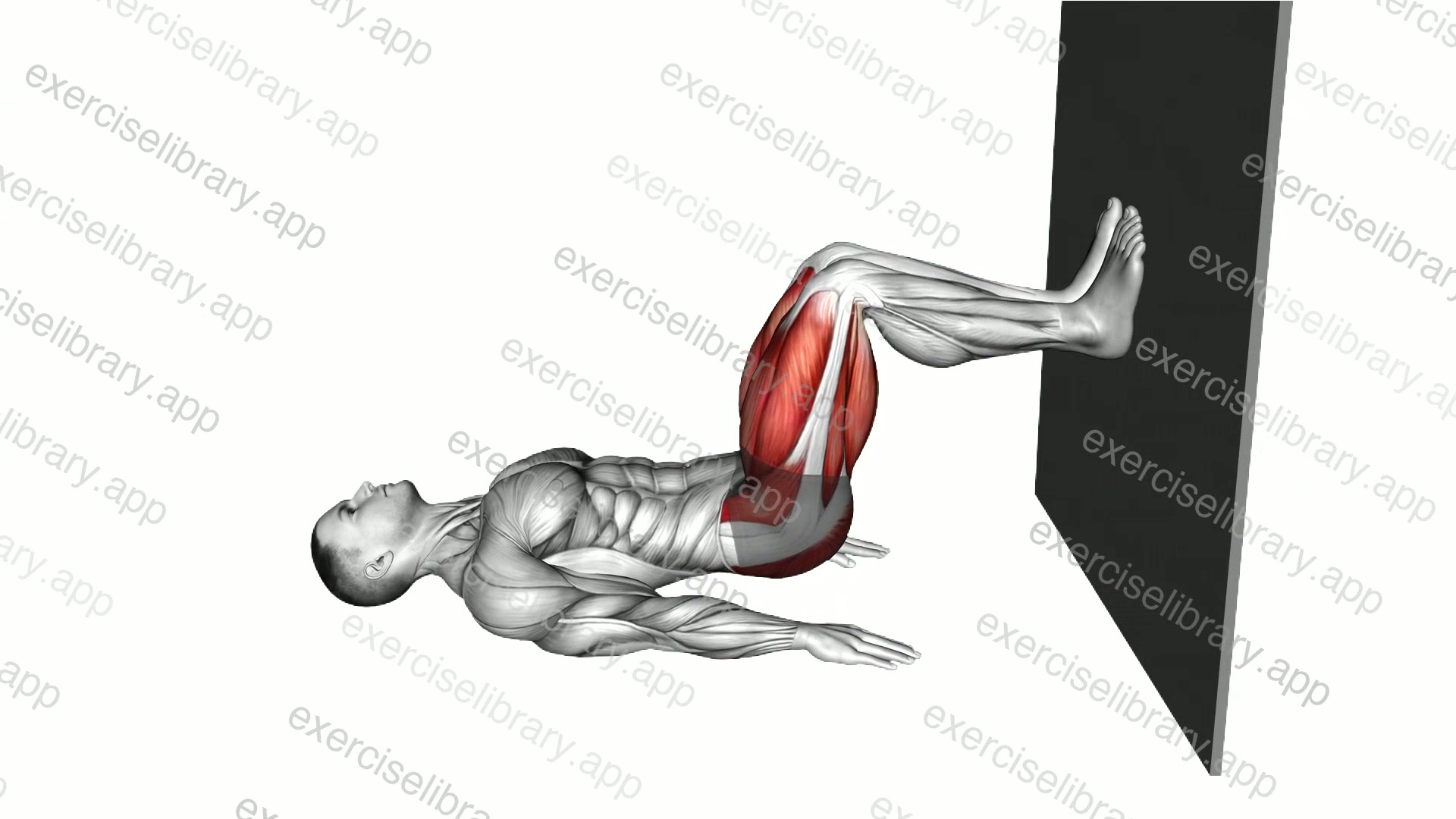 Glute Bridge Abduction against Wall demonstration
