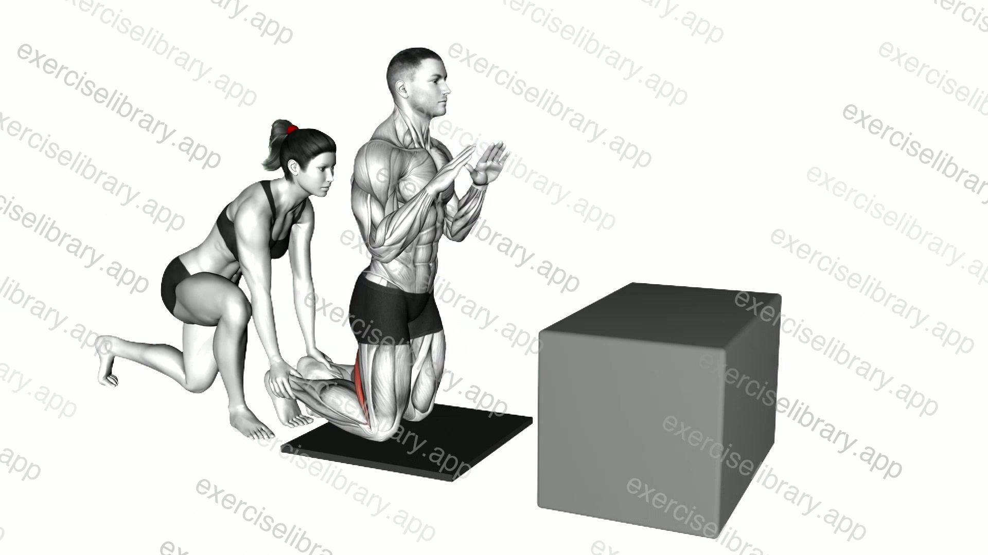 Assisted Partial Range Inverse Leg Curl demonstration
