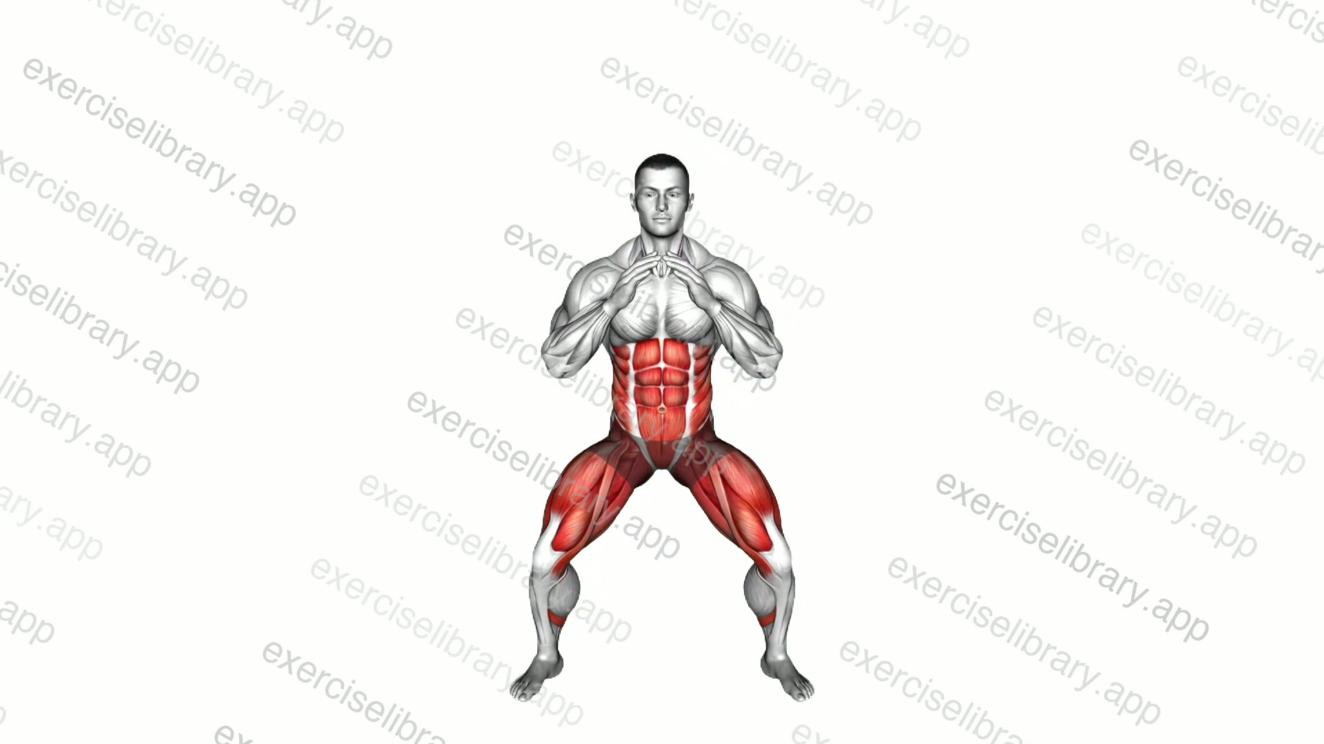 Squat and Double Knee To Elbow demonstration