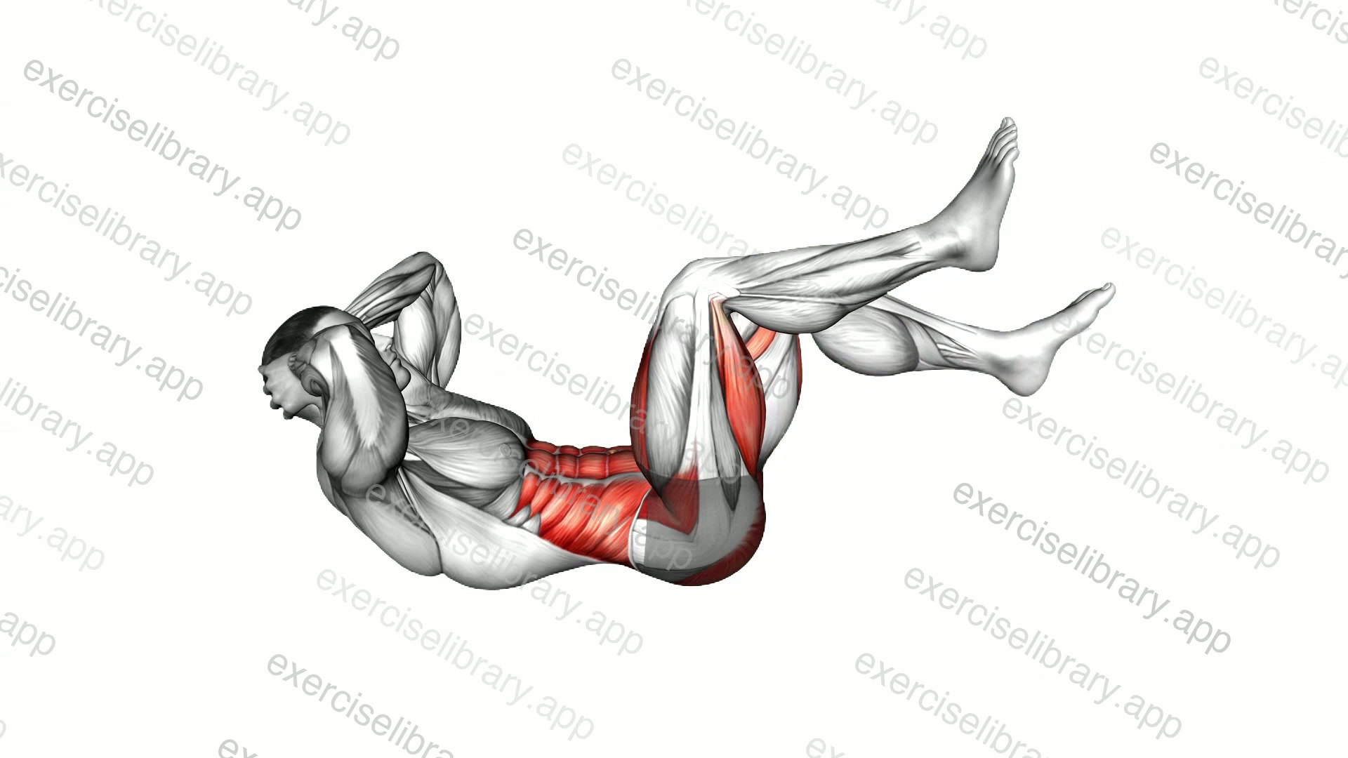 Lying Single to Double Toe Tap demonstration