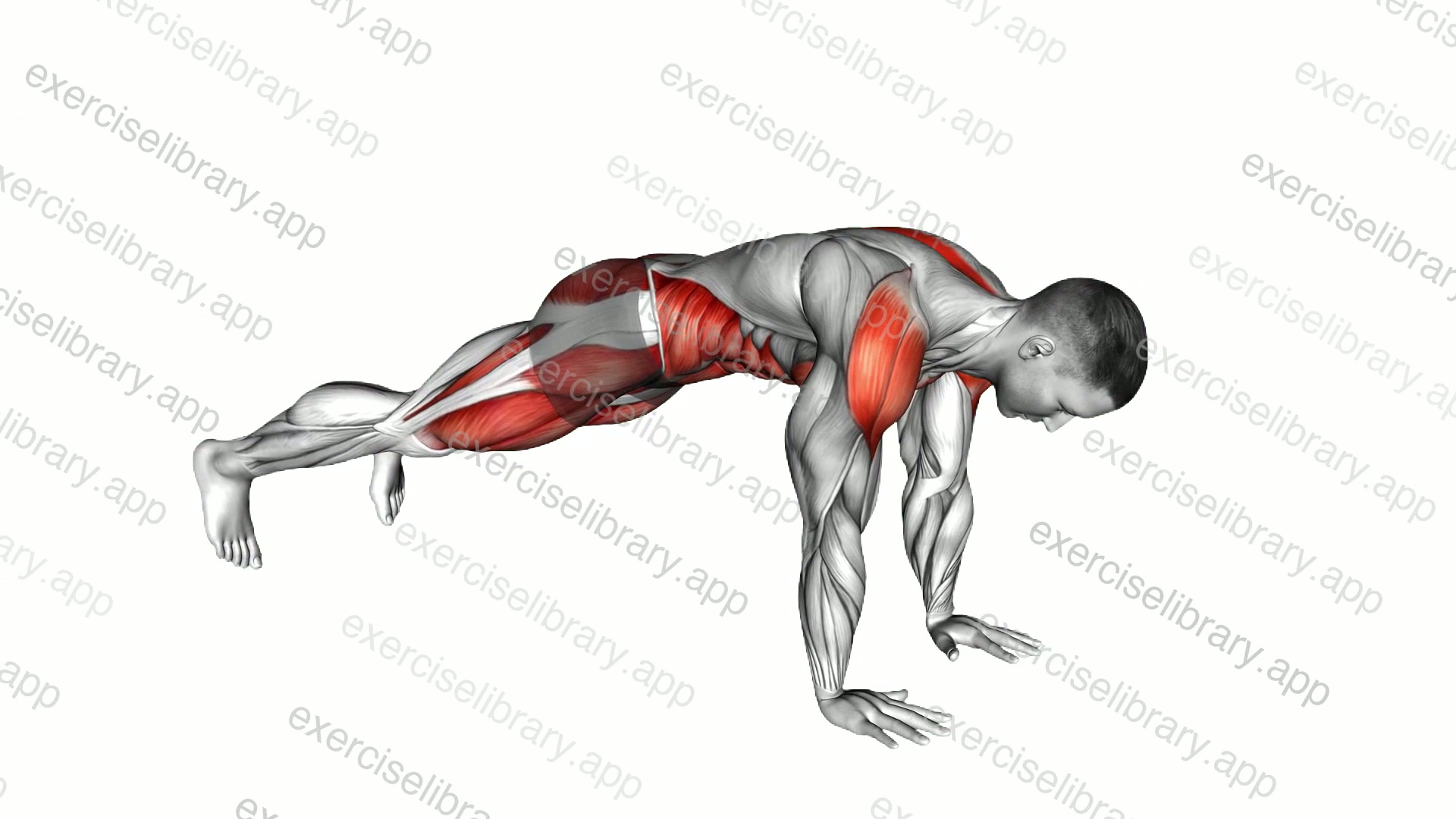 Double Plank Jack to 4 Mountain Climber demonstration
