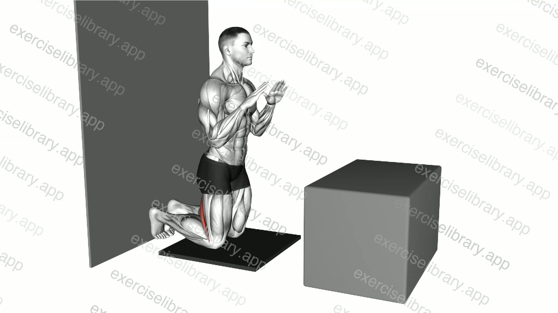 Assisted Partial Range Inverse Leg Curl against Wall demonstration