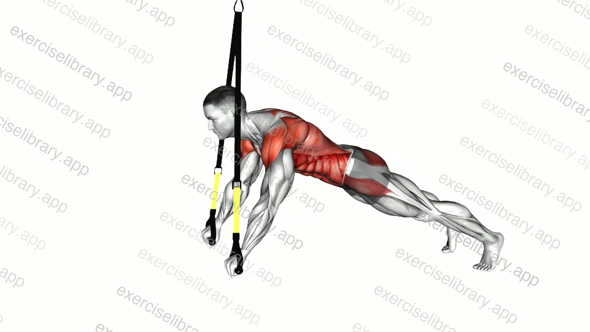 Suspender Prone Ys demonstration