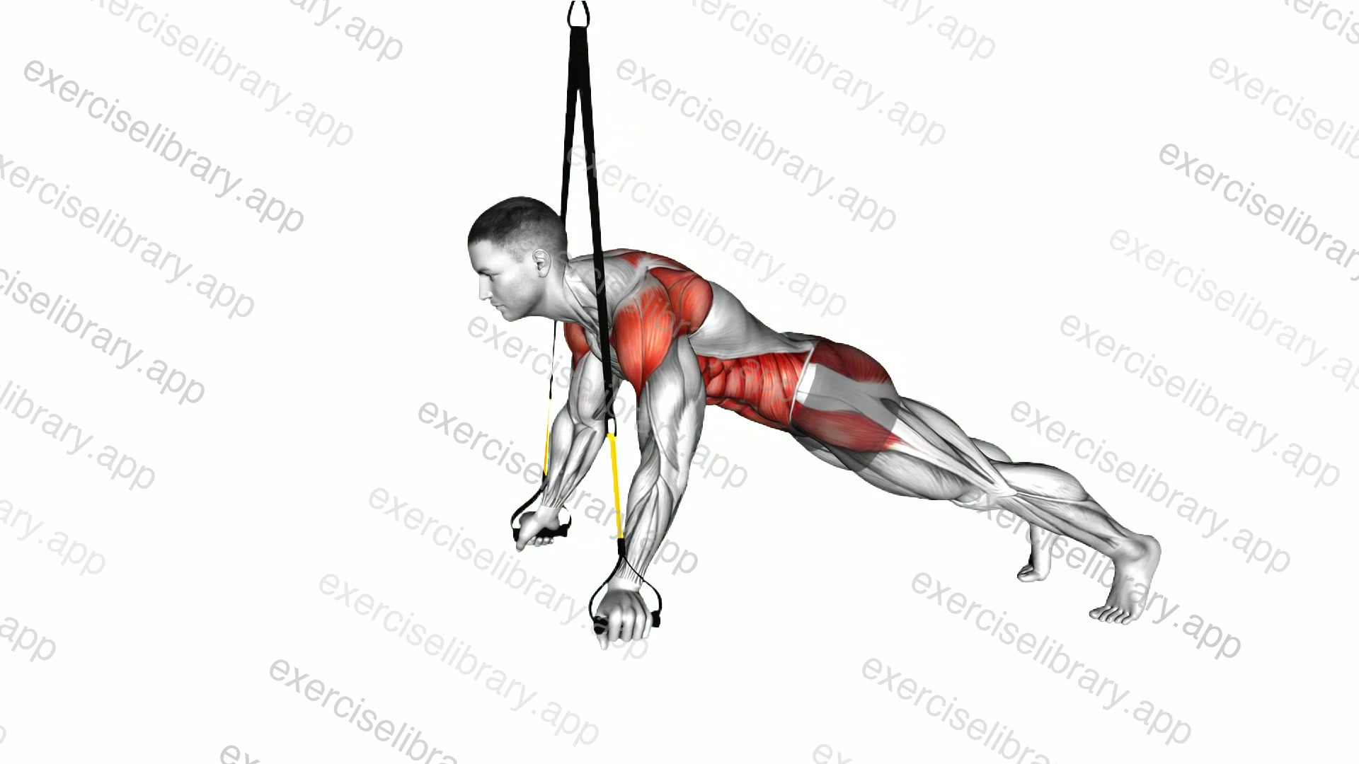 Suspender Prone Ts demonstration