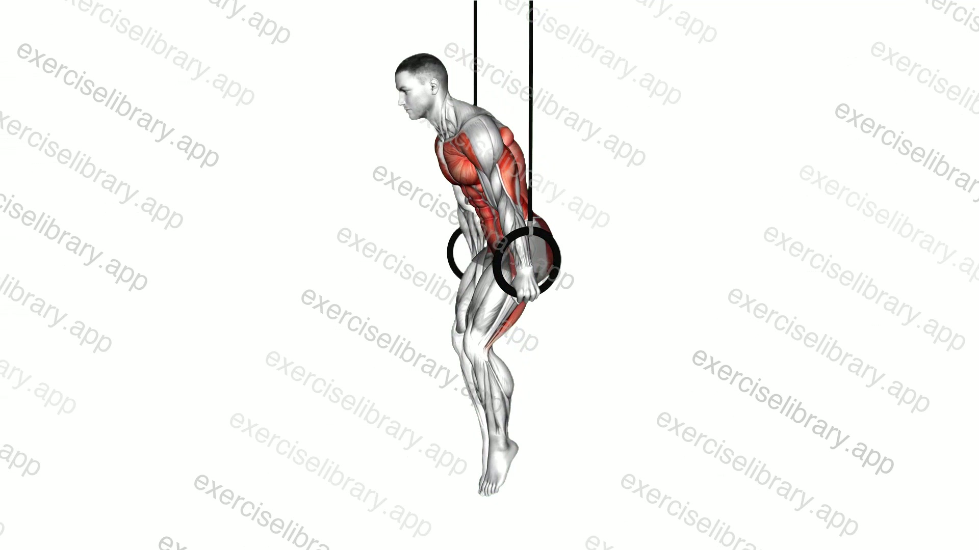 Ring Tuck Planche demonstration