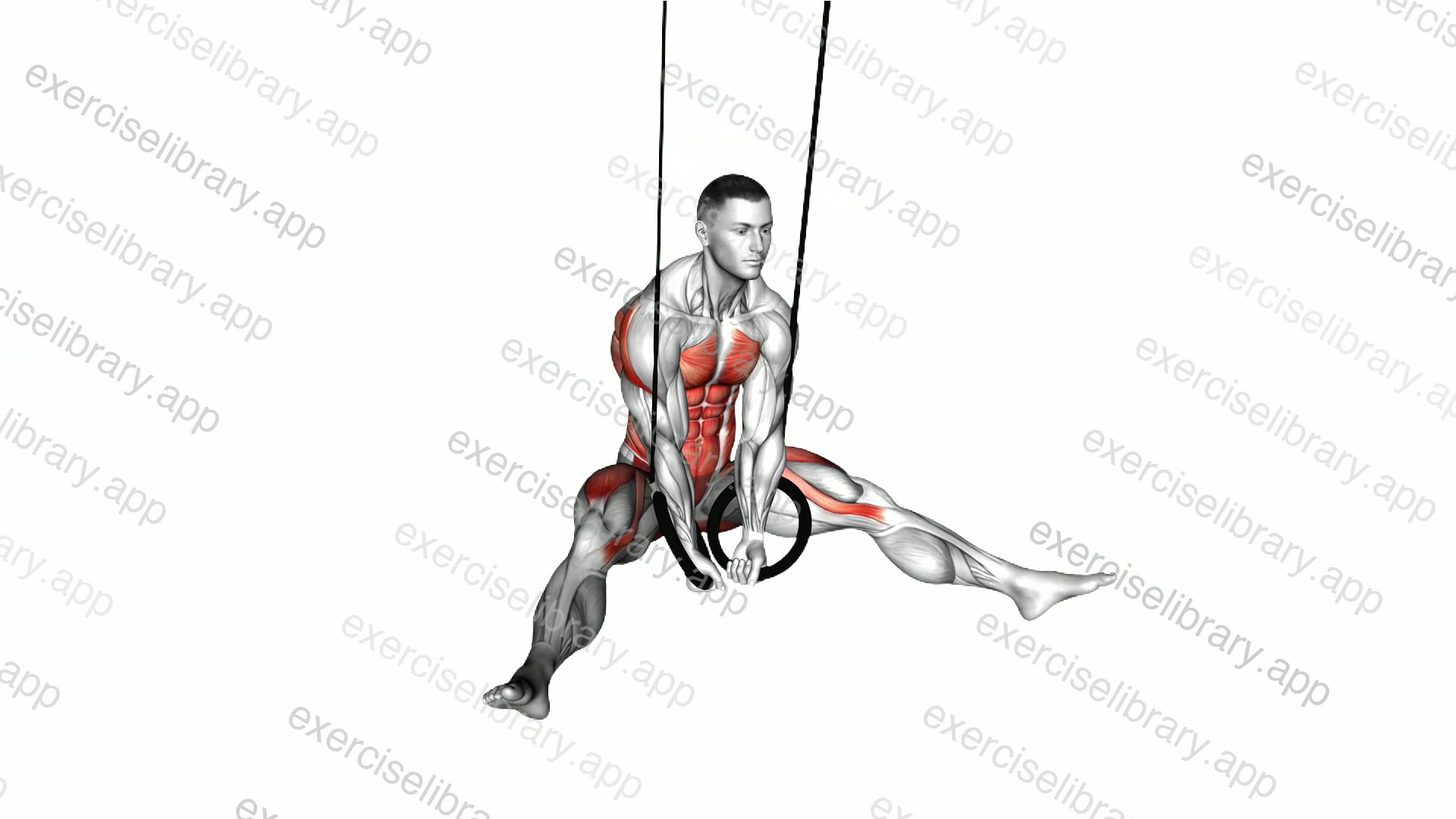 Ring Straddle L Sit demonstration