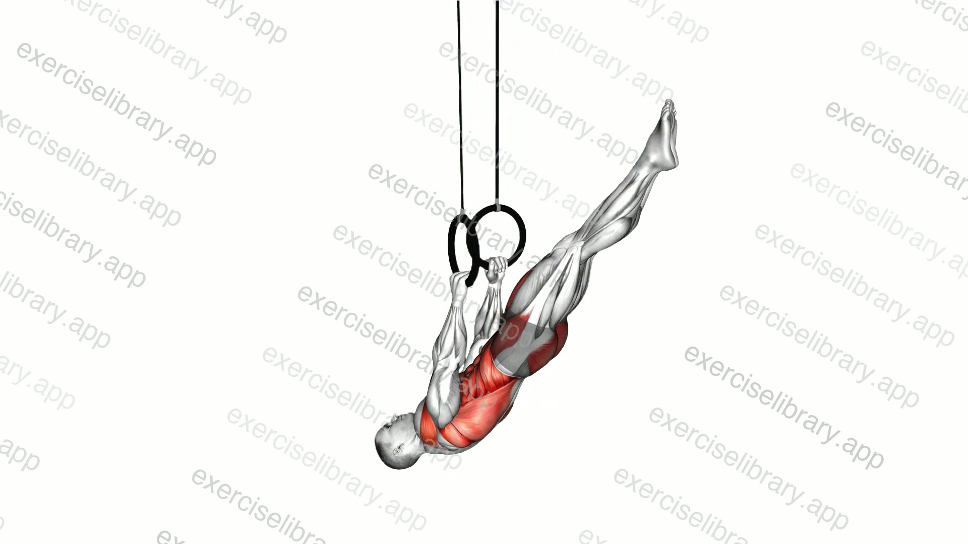 Ring Front Lever demonstration