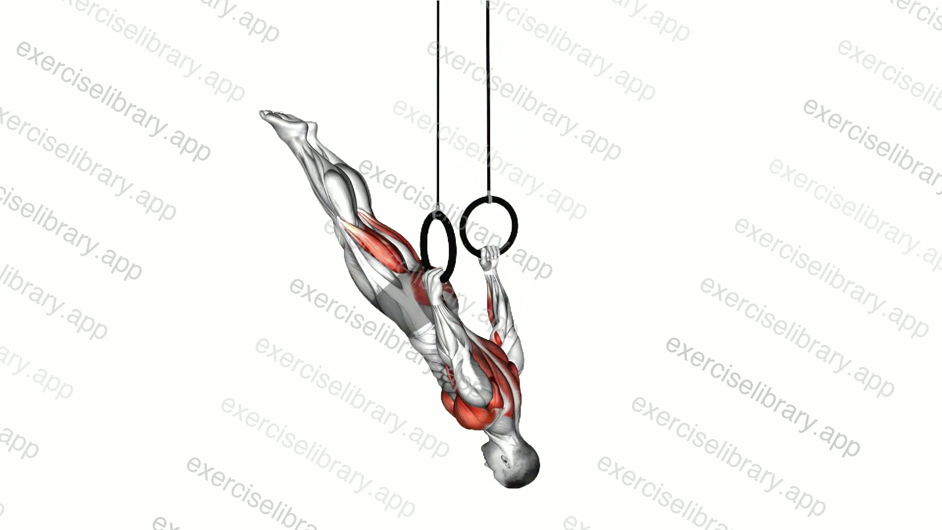 Ring Back Lever demonstration