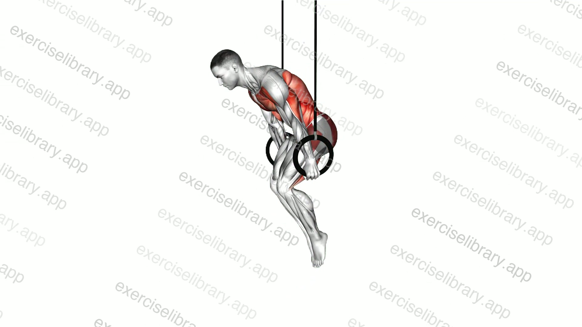 Ring Planche demonstration