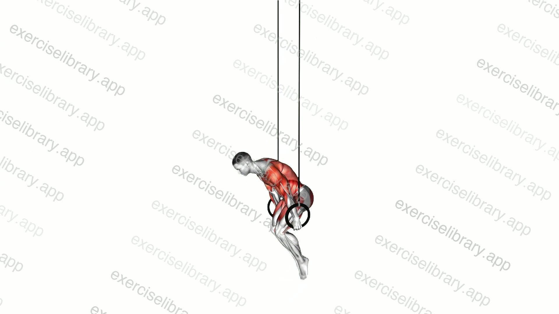 Ring Handstand demonstration