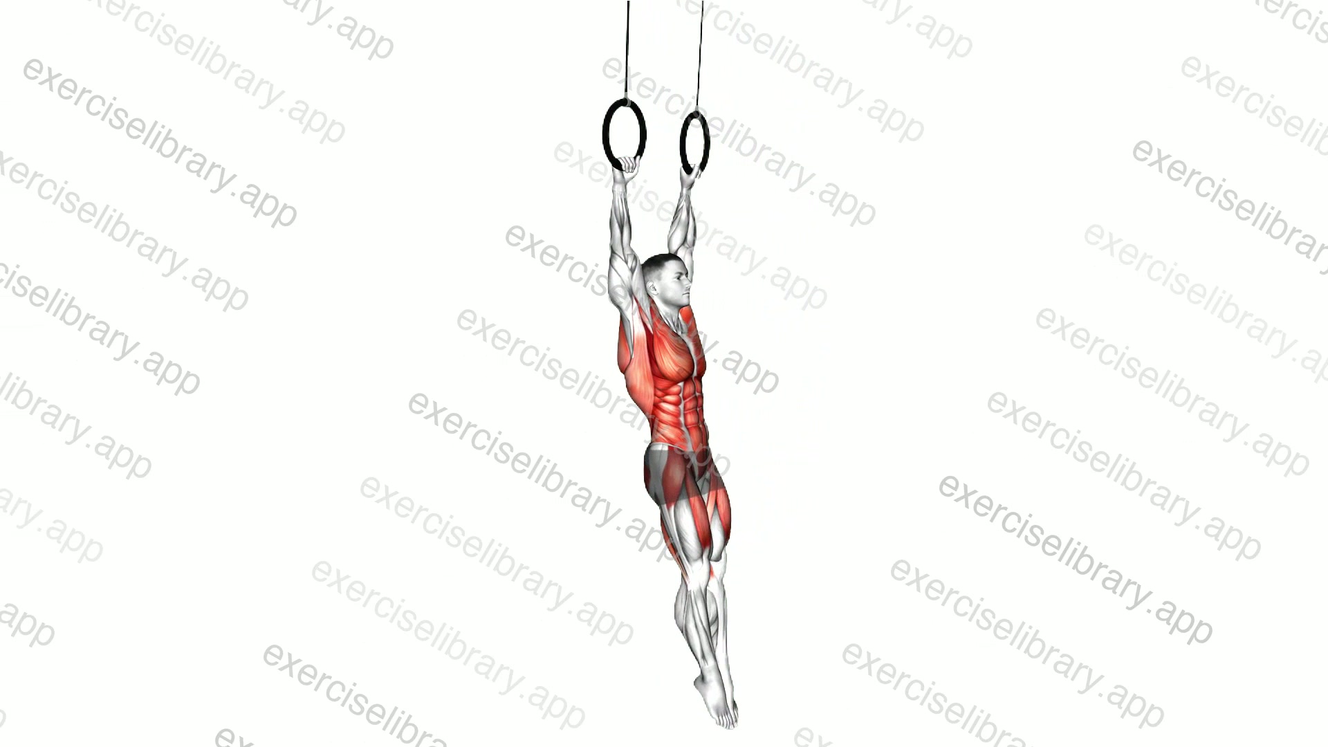 Ring Swing demonstration