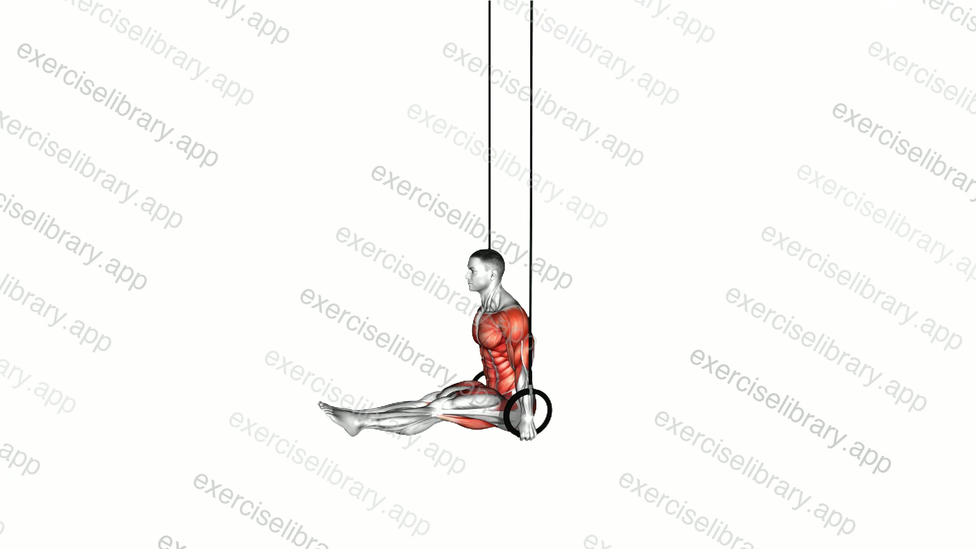 Ring Handstand to L Sit demonstration