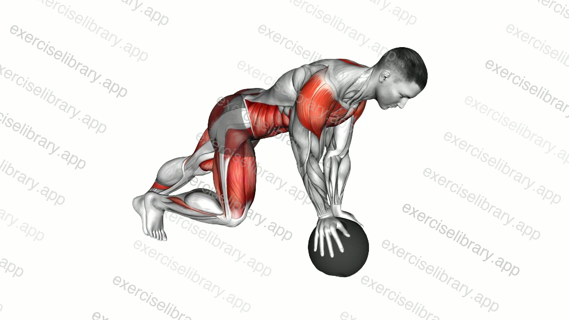 Medicine Ball Mountain Climber demonstration