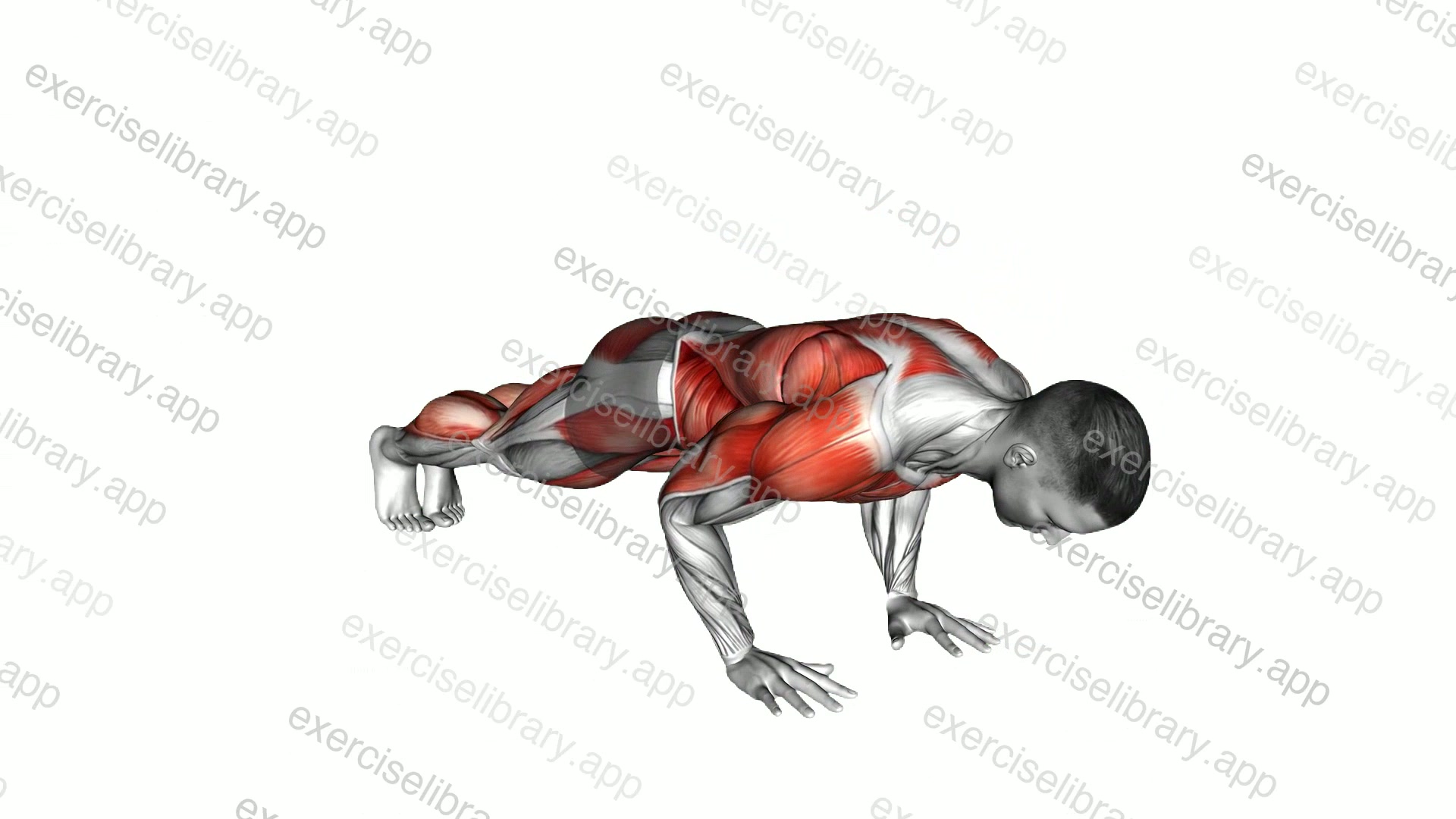 Push-up 3 Points Hops demonstration
