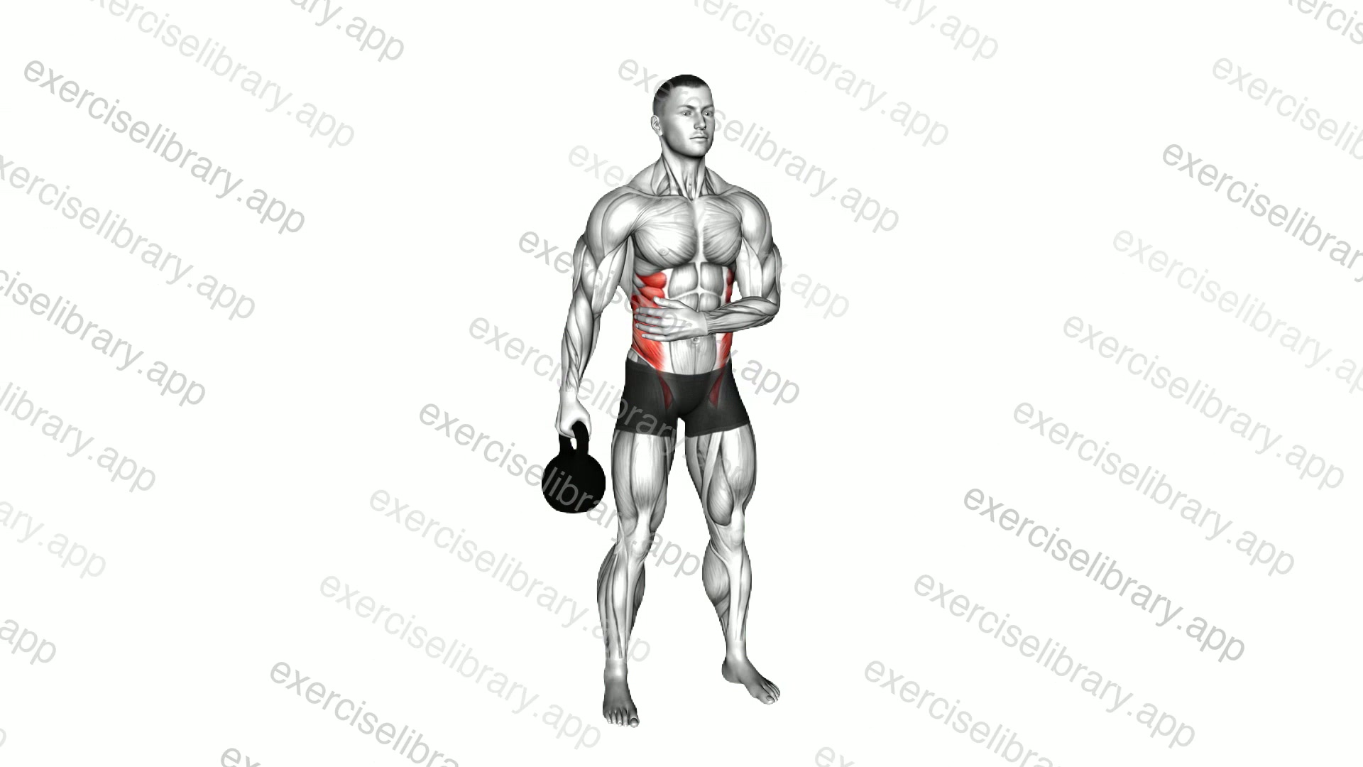 Kettlebell Suitcase Hold demonstration