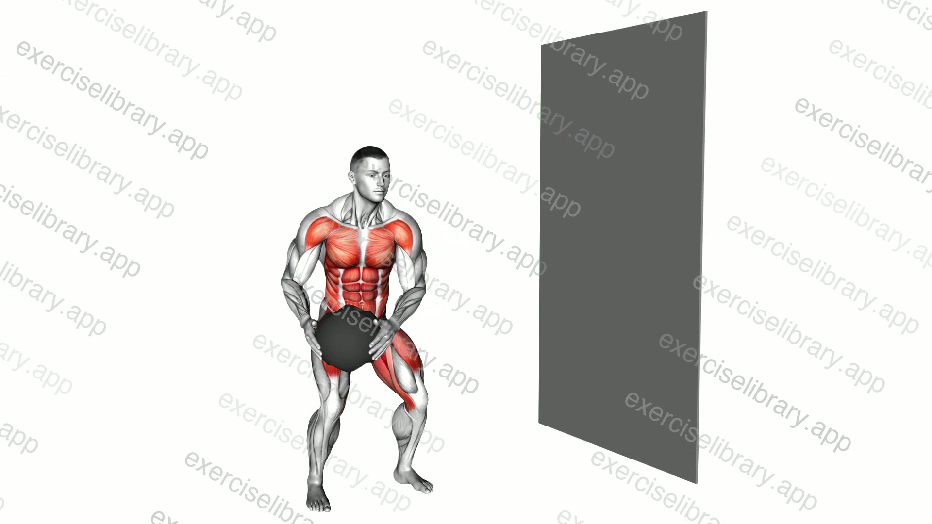 Medicine Ball Rotary Throw demonstration