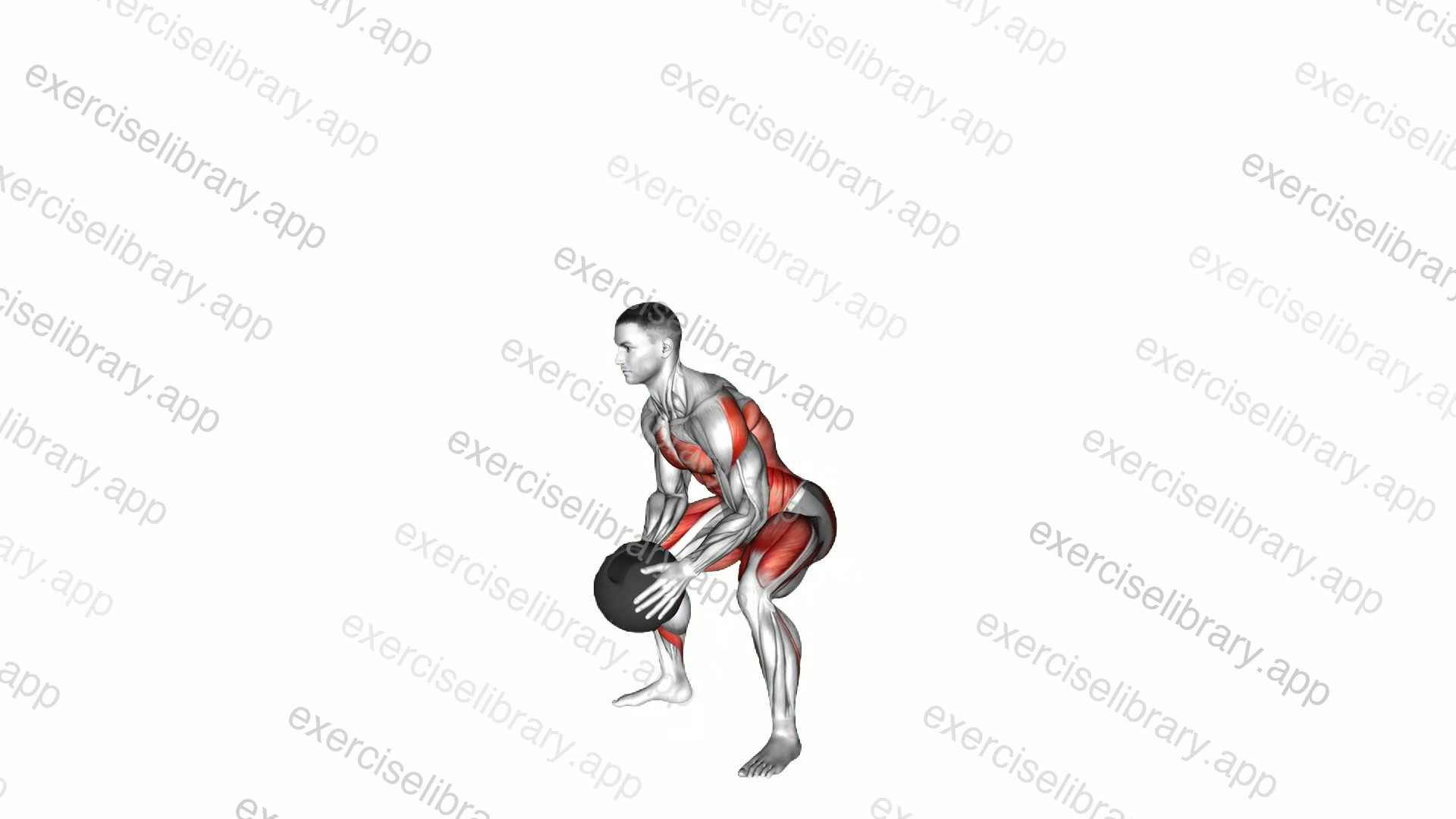 Medicine Ball Slam demonstration