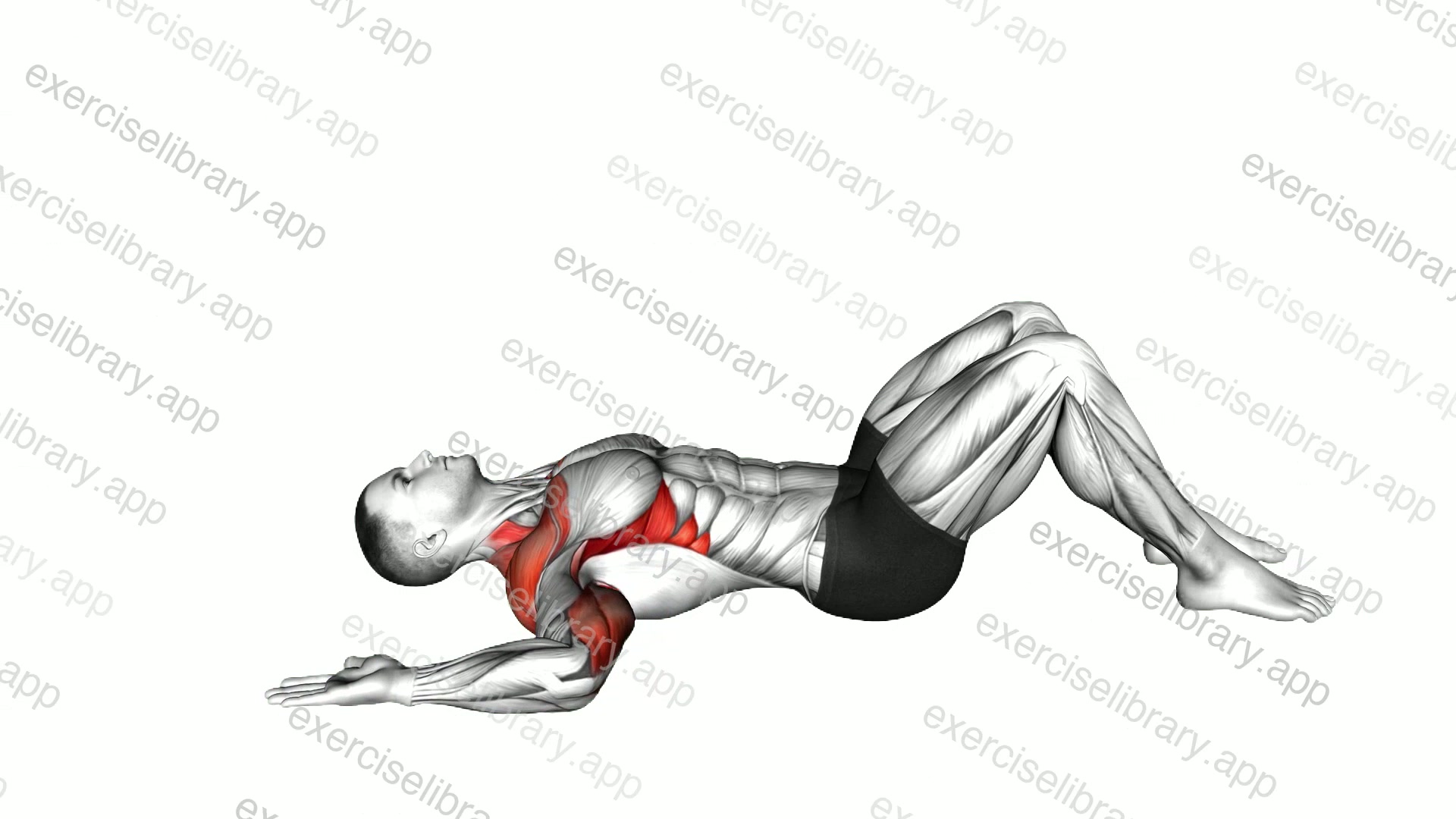 Lying Floor Slide demonstration