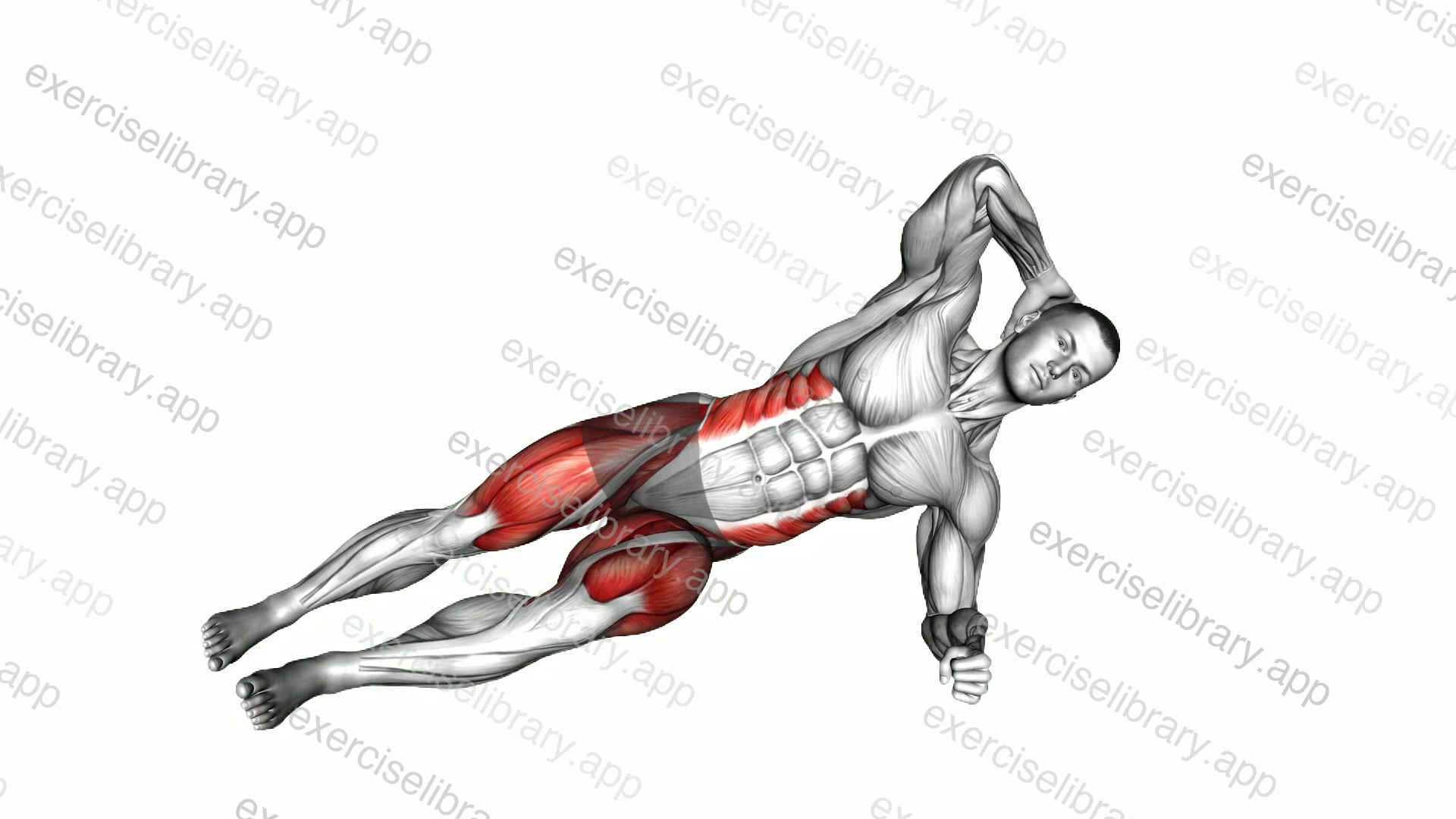 Side Plank March demonstration