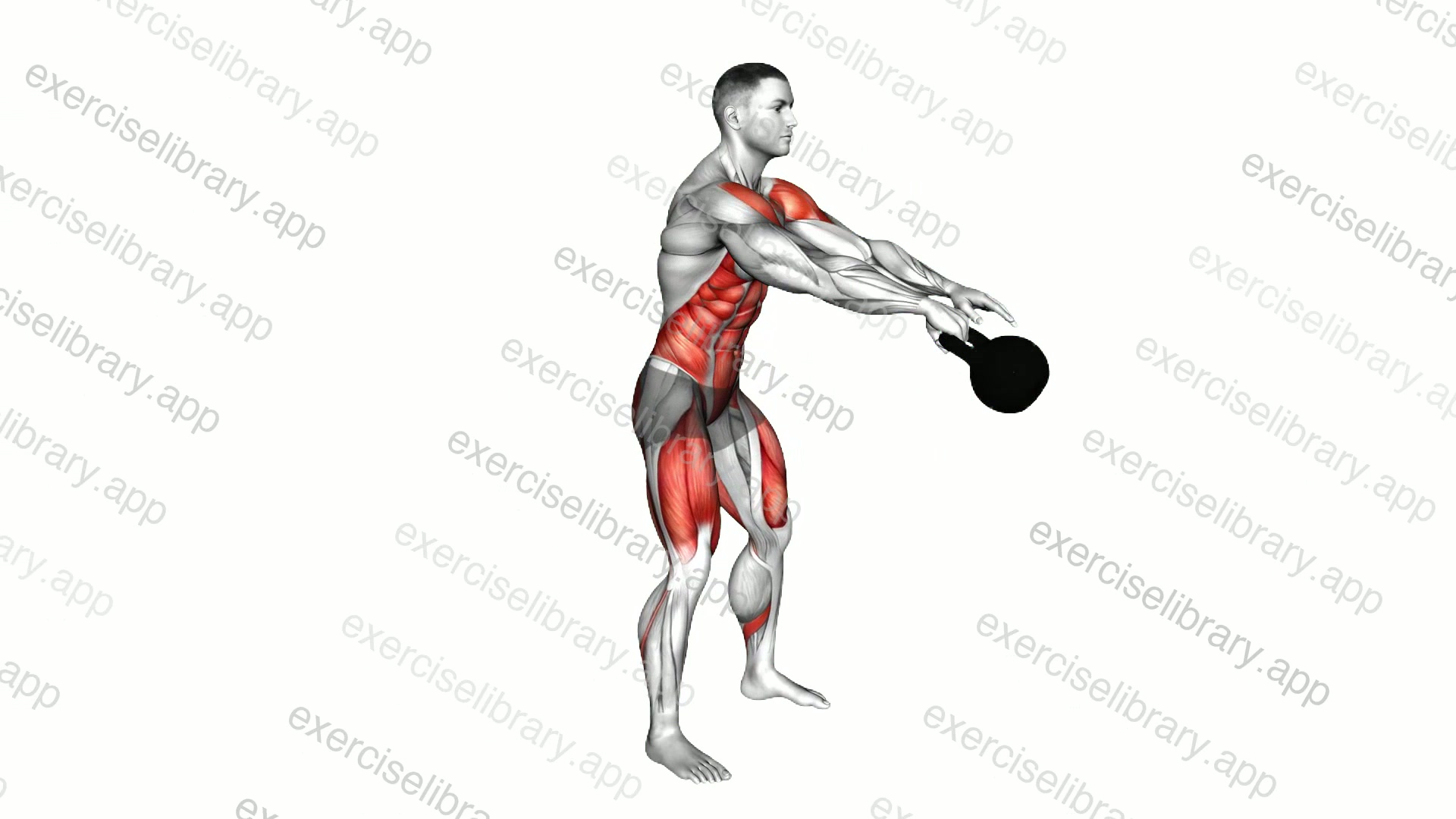 Kettlebell Figure 8 Swing demonstration