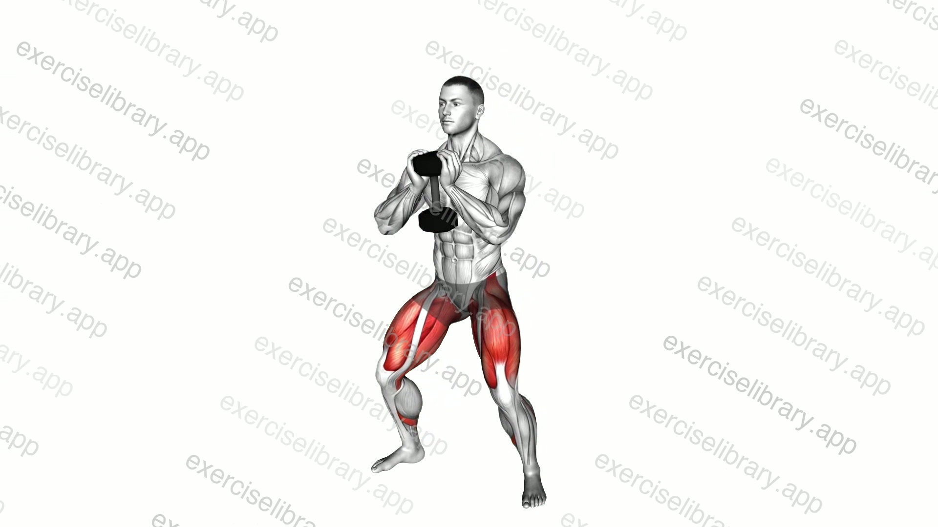 Dumbbell Goblet Sumo Squat demonstration