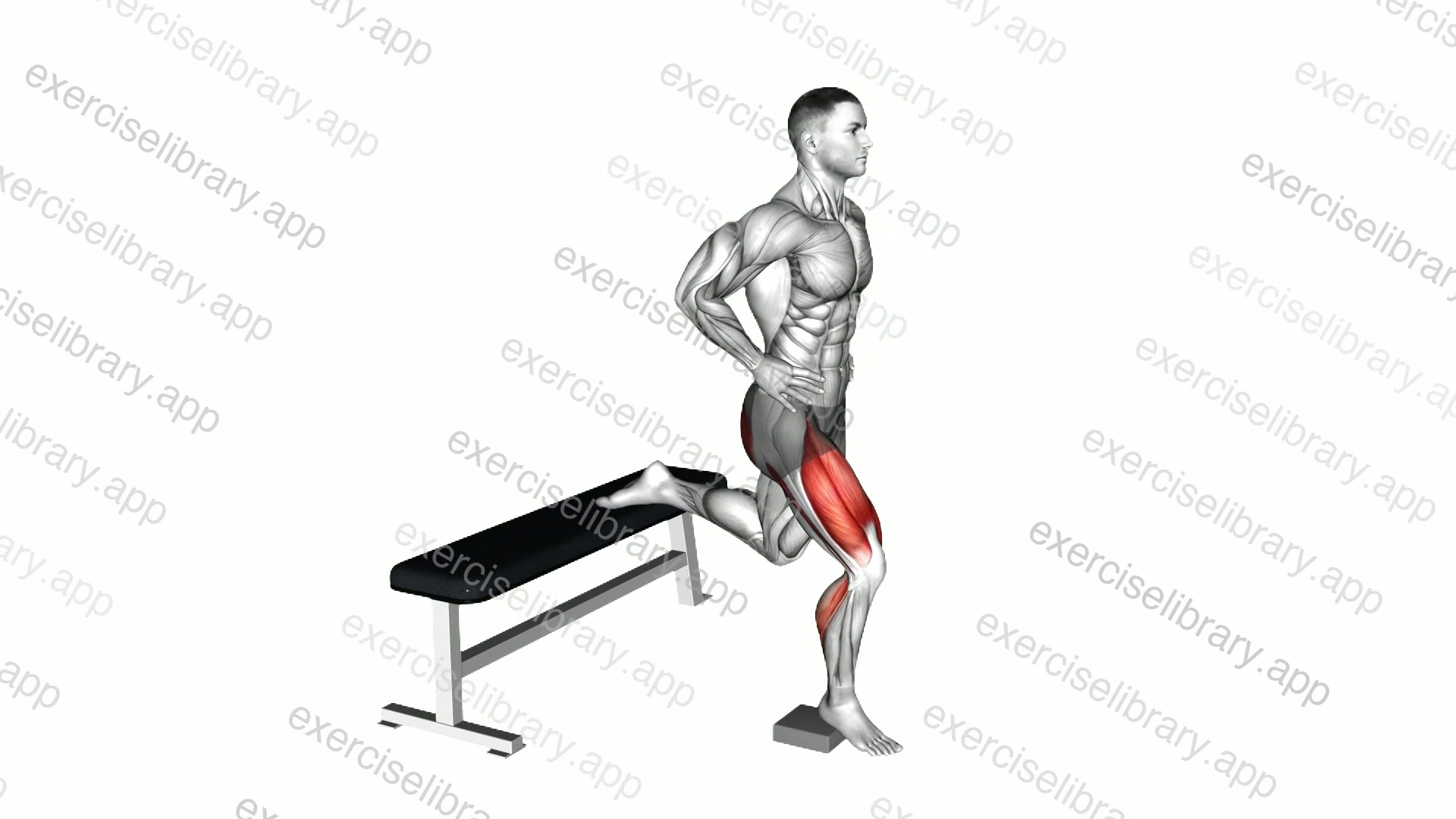 Bodyweight Heel Elevated Bulgarian Split Squat demonstration