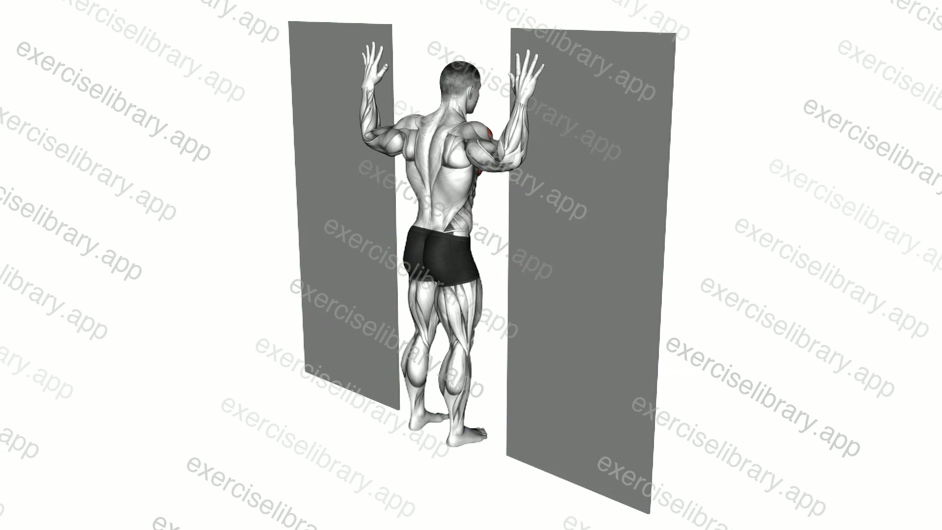 Doorway Chest Stretch demonstration