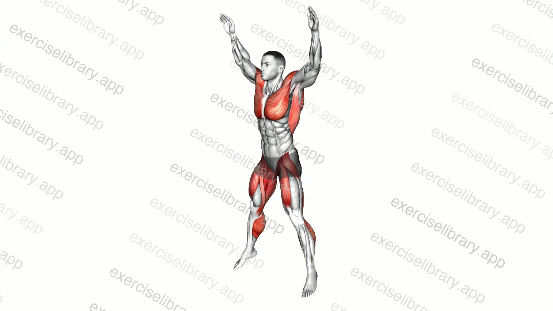 Jumping Jack High Knee demonstration