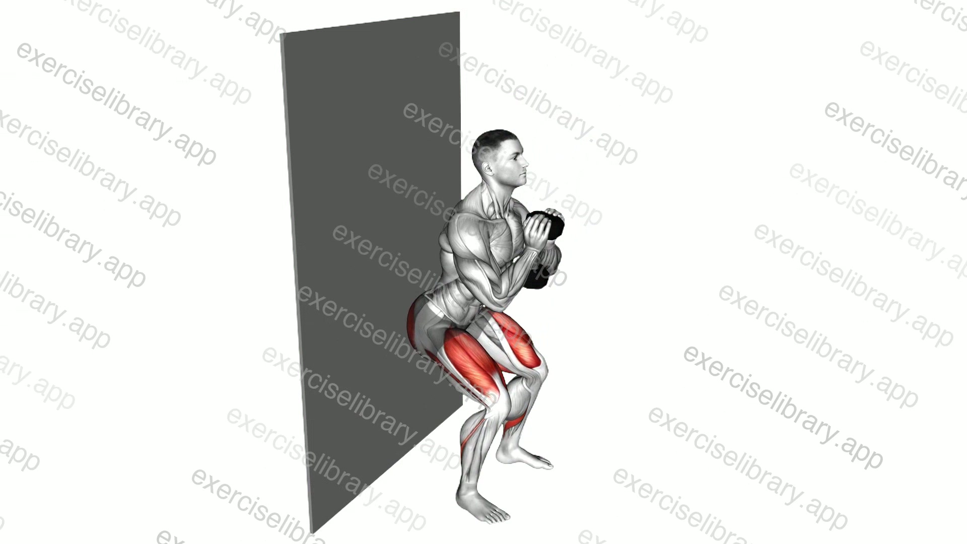 Dumbbell Goblet Wall Sit demonstration
