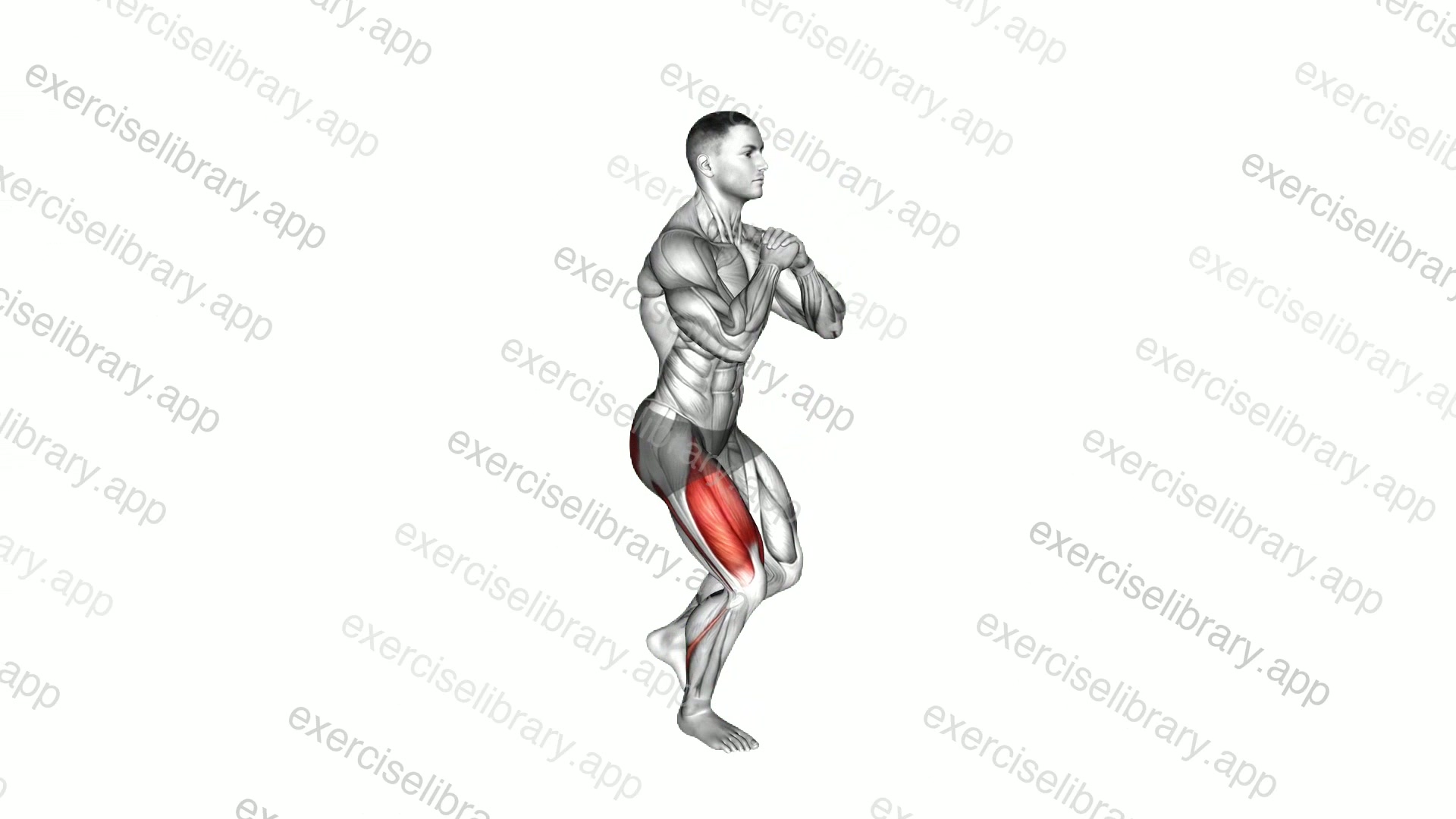 Bodyweight Single Leg Squat demonstration