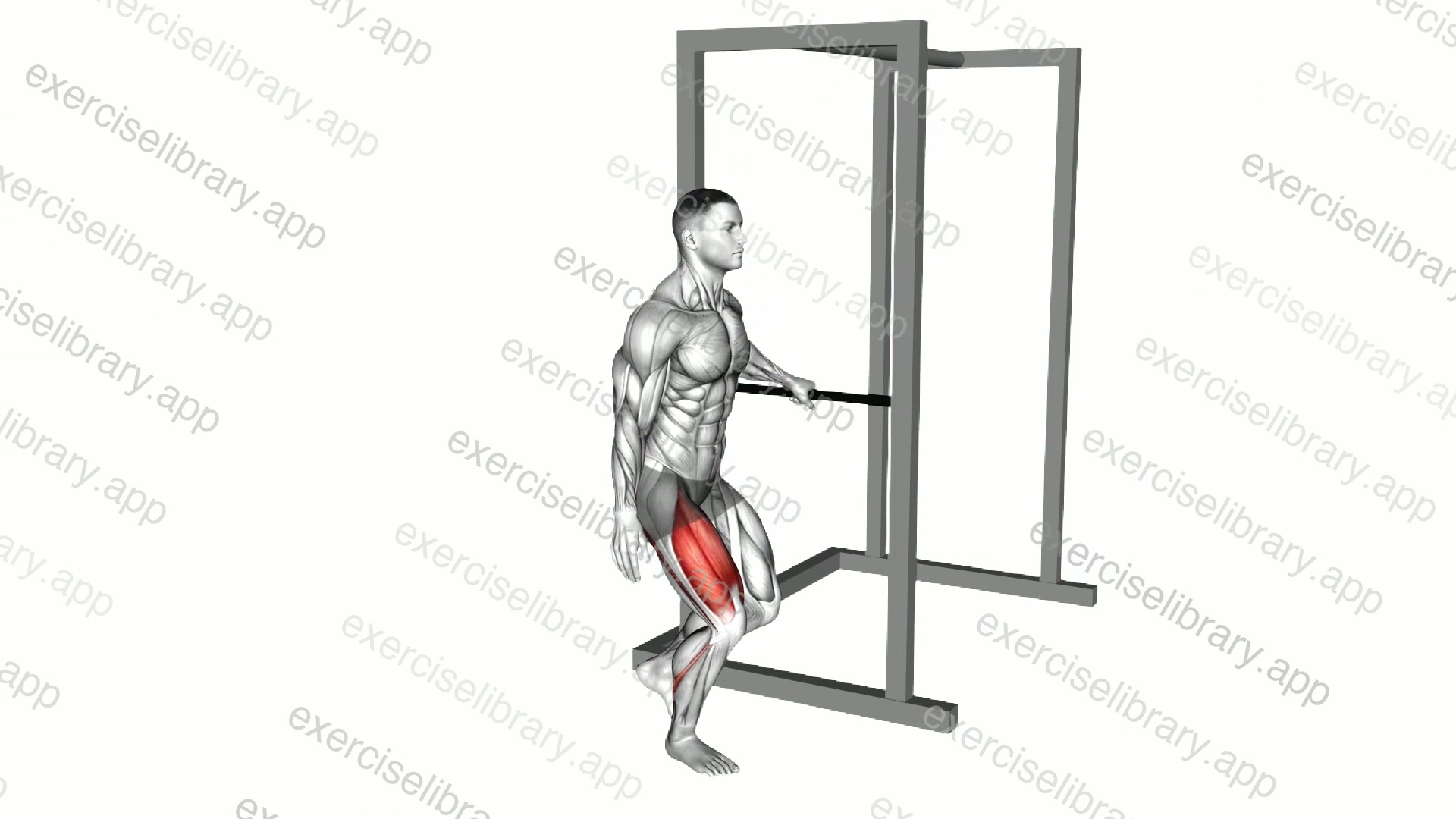 Bodyweight Single Leg Squat with Support demonstration