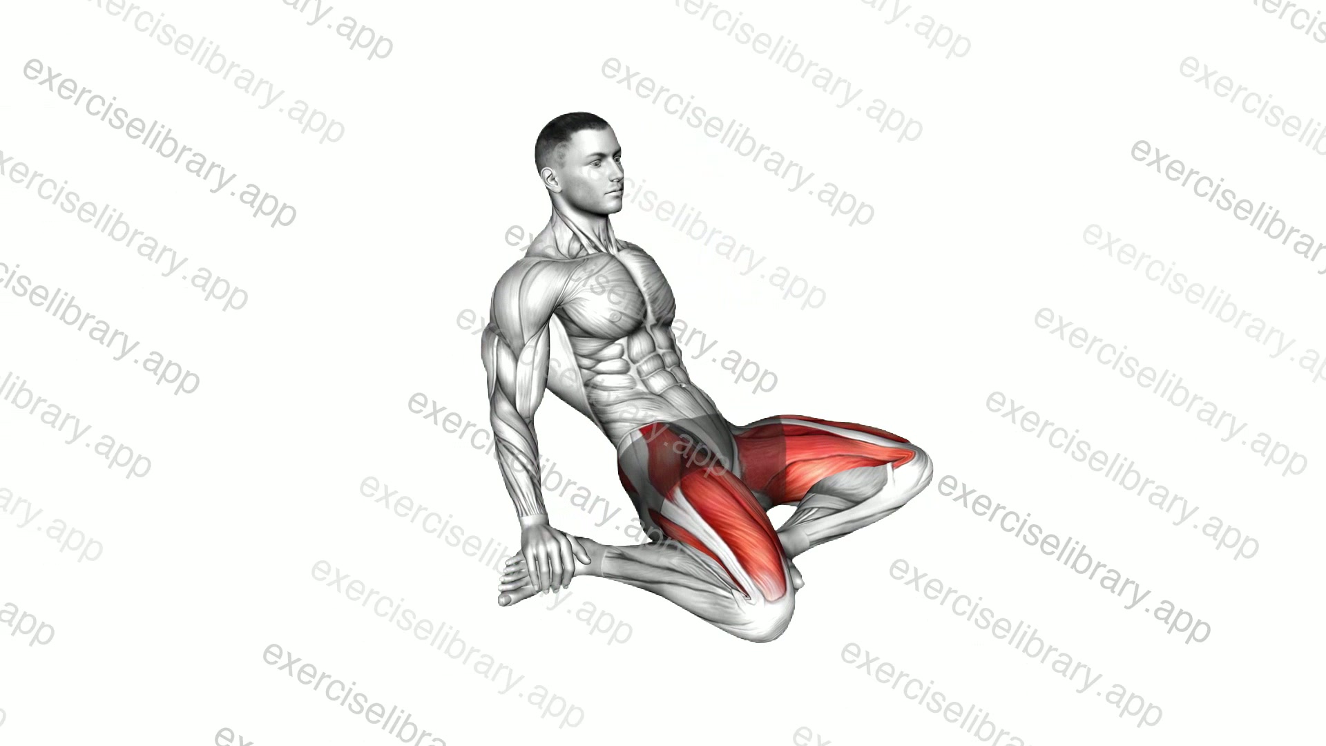Seated Quadriceps Stretch demonstration