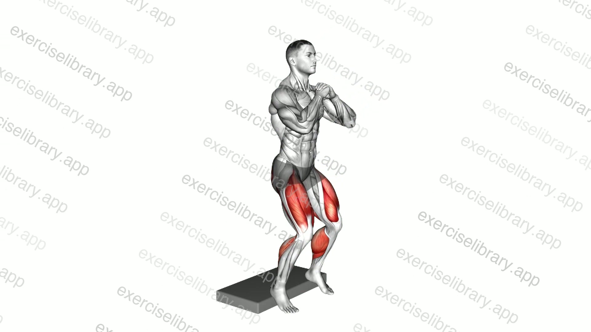 Bodyweight Heel Elevated Squat demonstration