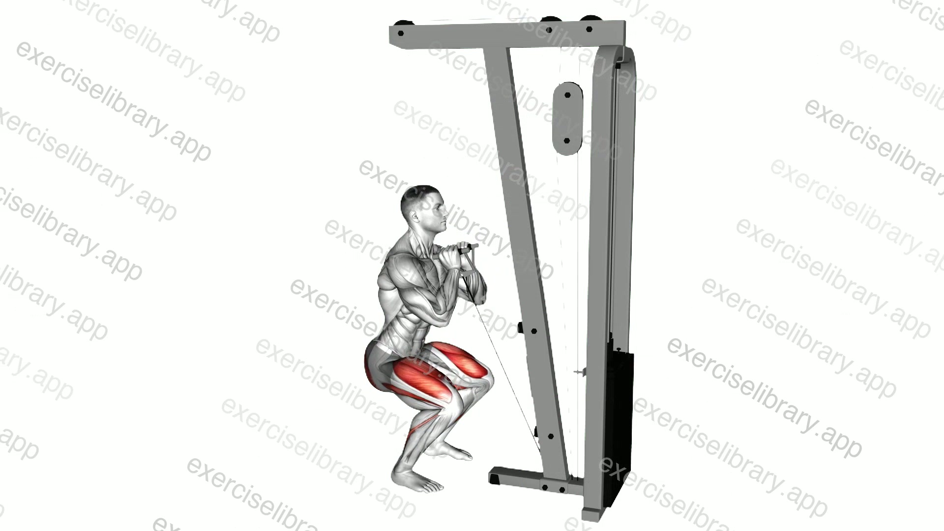 Cable Front Squat with V bar demonstration