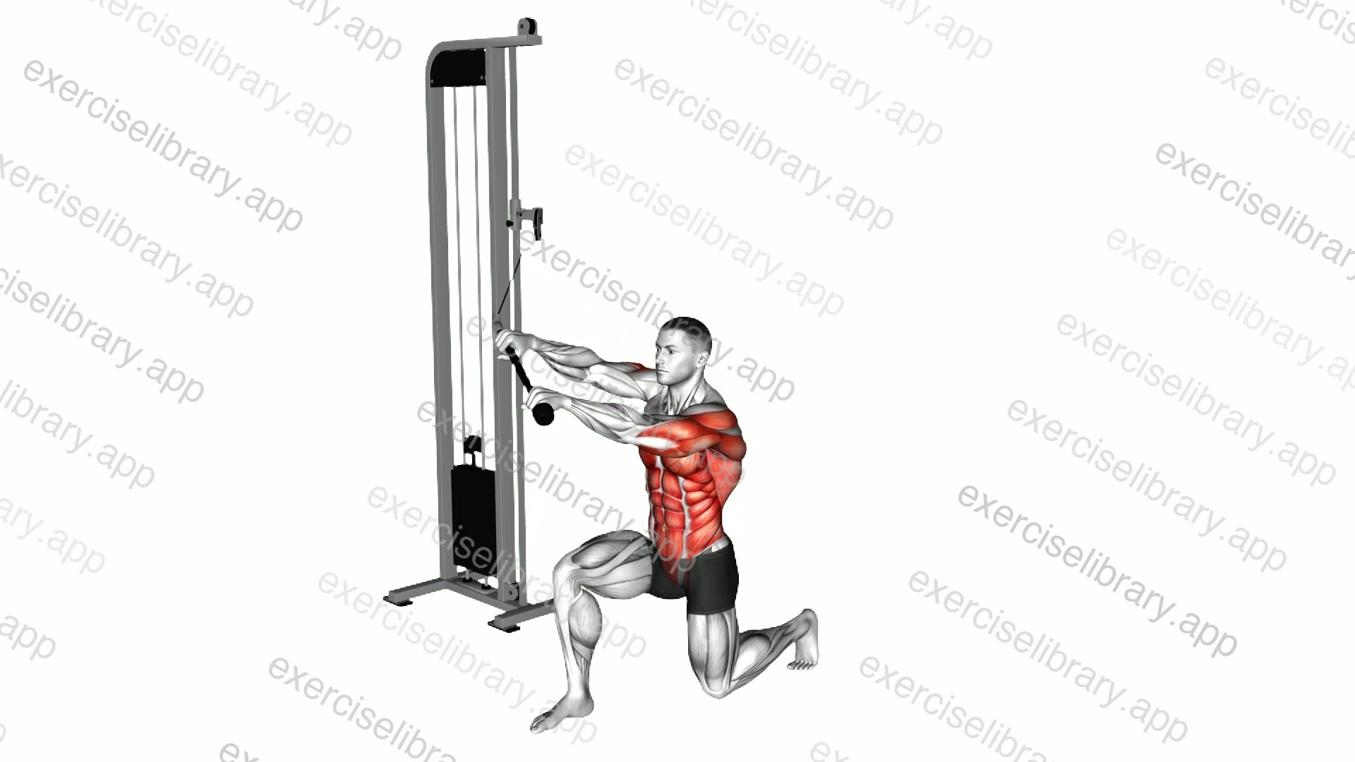 Cable Kneeling High Low Anti Rotation Chop demonstration