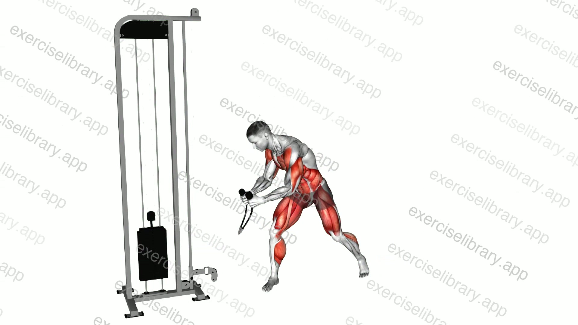 Twist Turn Lift demonstration