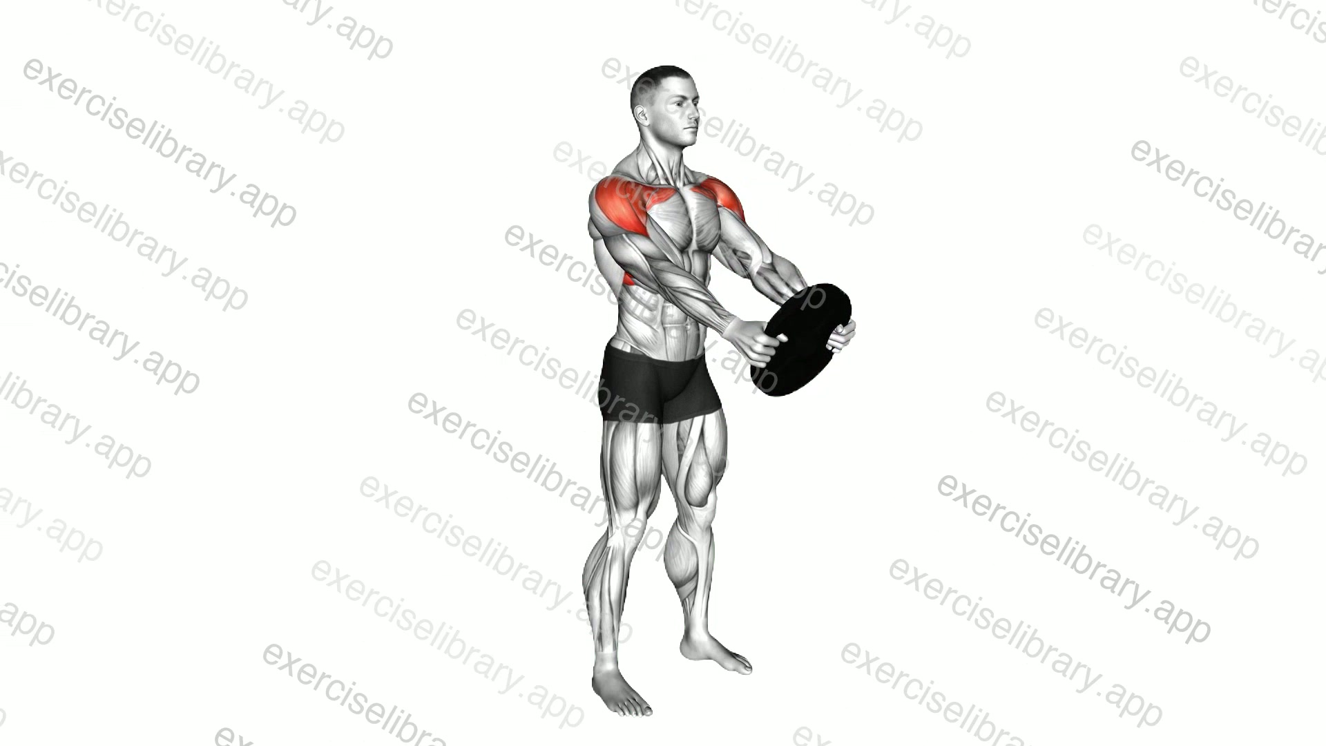 Weighted Front Raise Hold demonstration