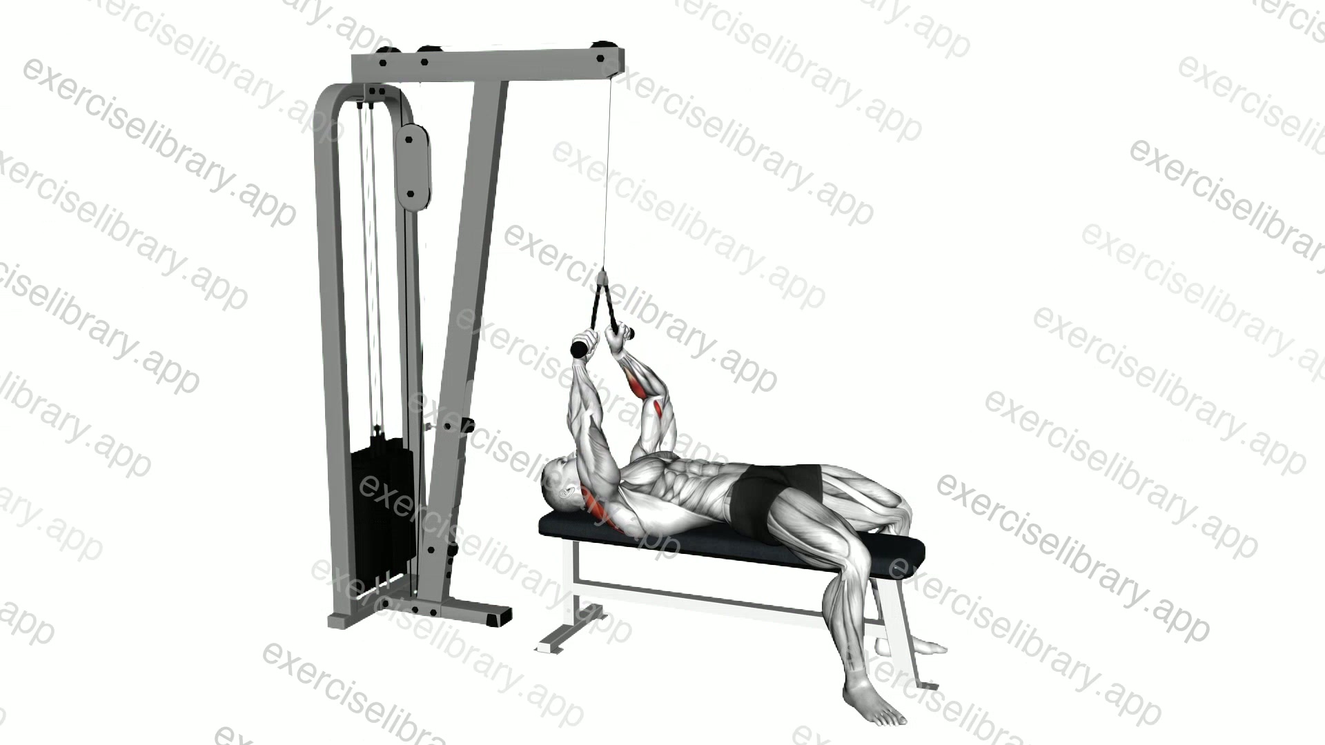 Cable Lying Face Pull demonstration