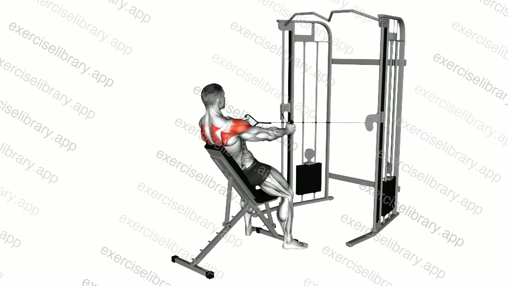 Cable Incline Rear Delt Fly with Back Support demonstration