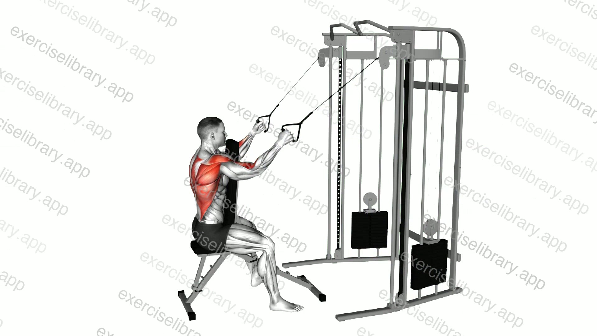 Cable High Row with Chest Support demonstration