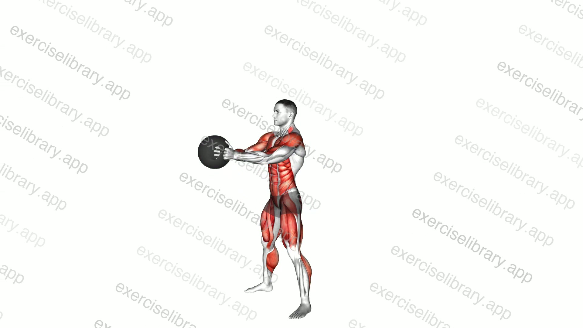 Medicine Ball Slam Burpee demonstration