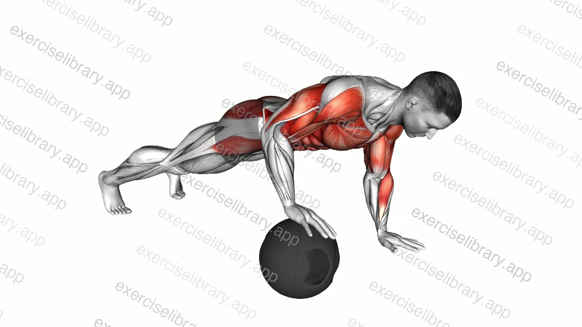 Medicine Ball Roll Plank demonstration