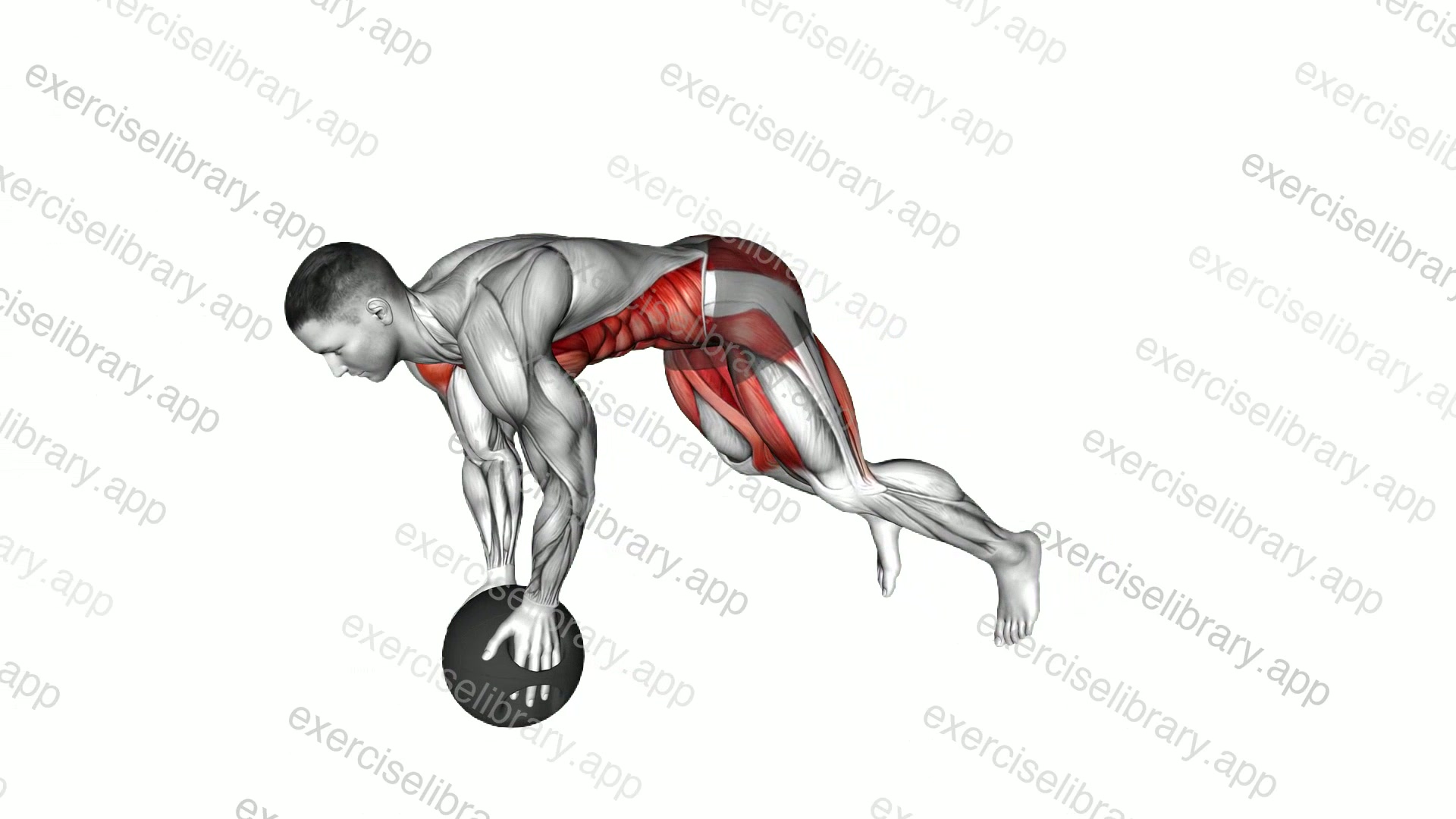 Medicine Ball Plank Jack demonstration