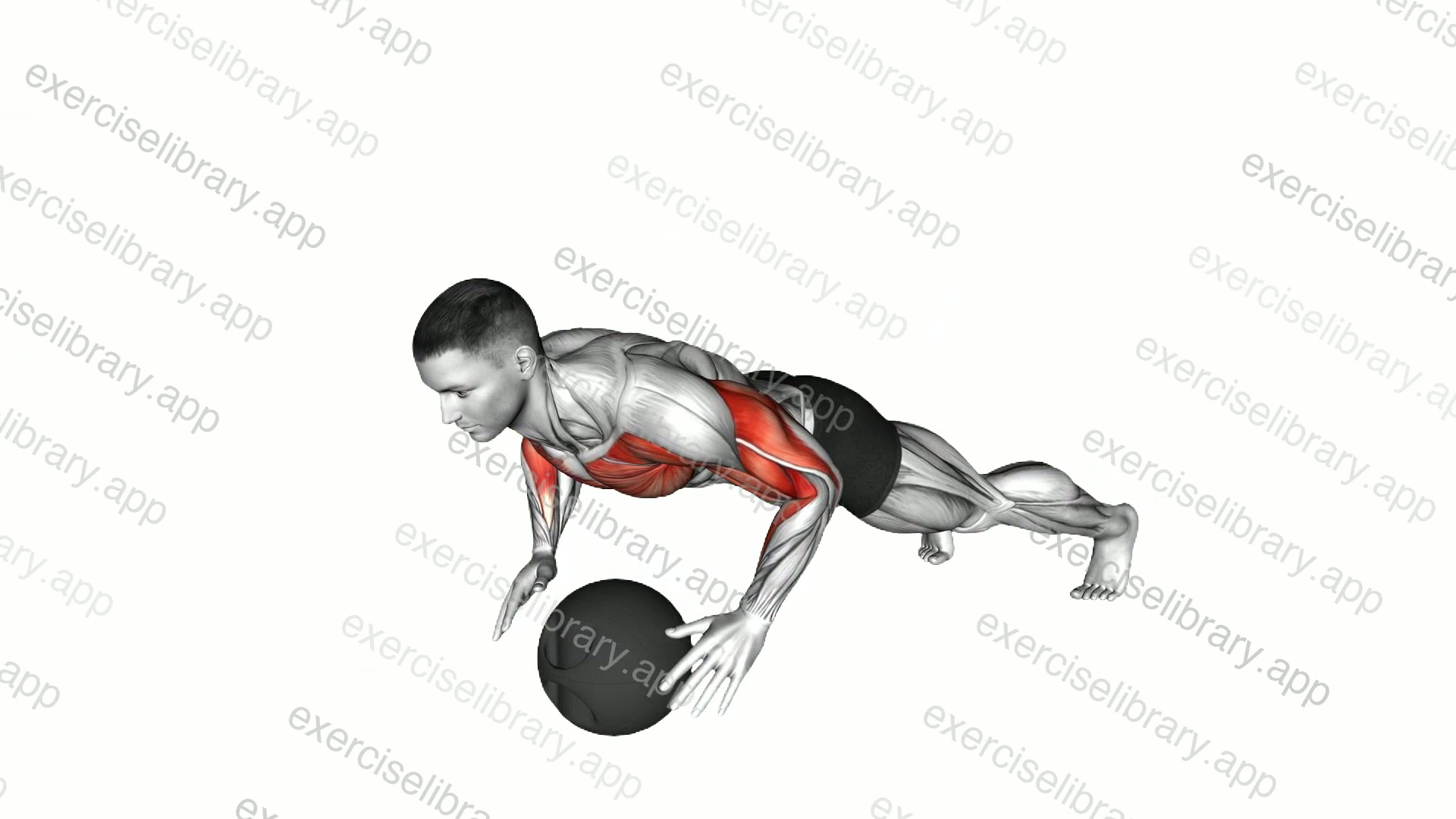 Medicine Ball Plyo Push-up demonstration