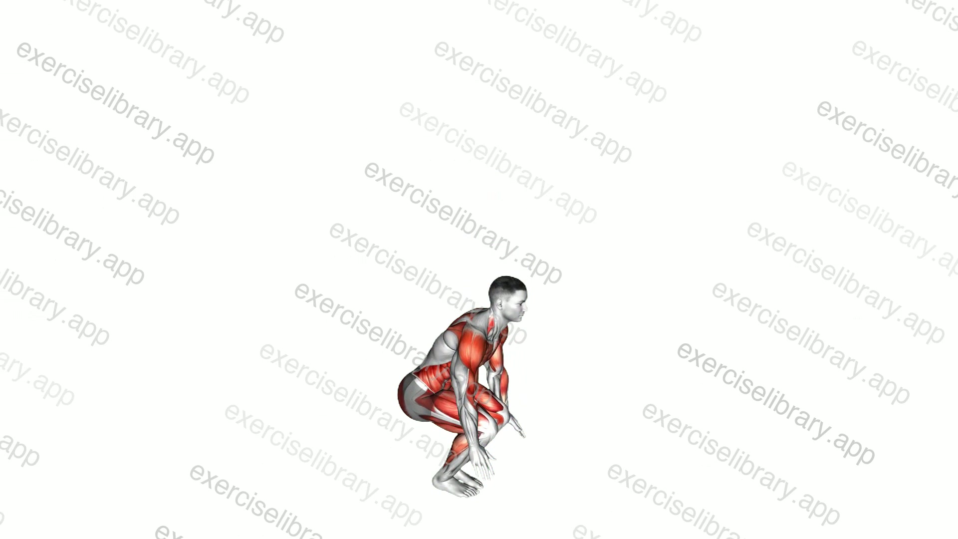 Jack Burpee demonstration