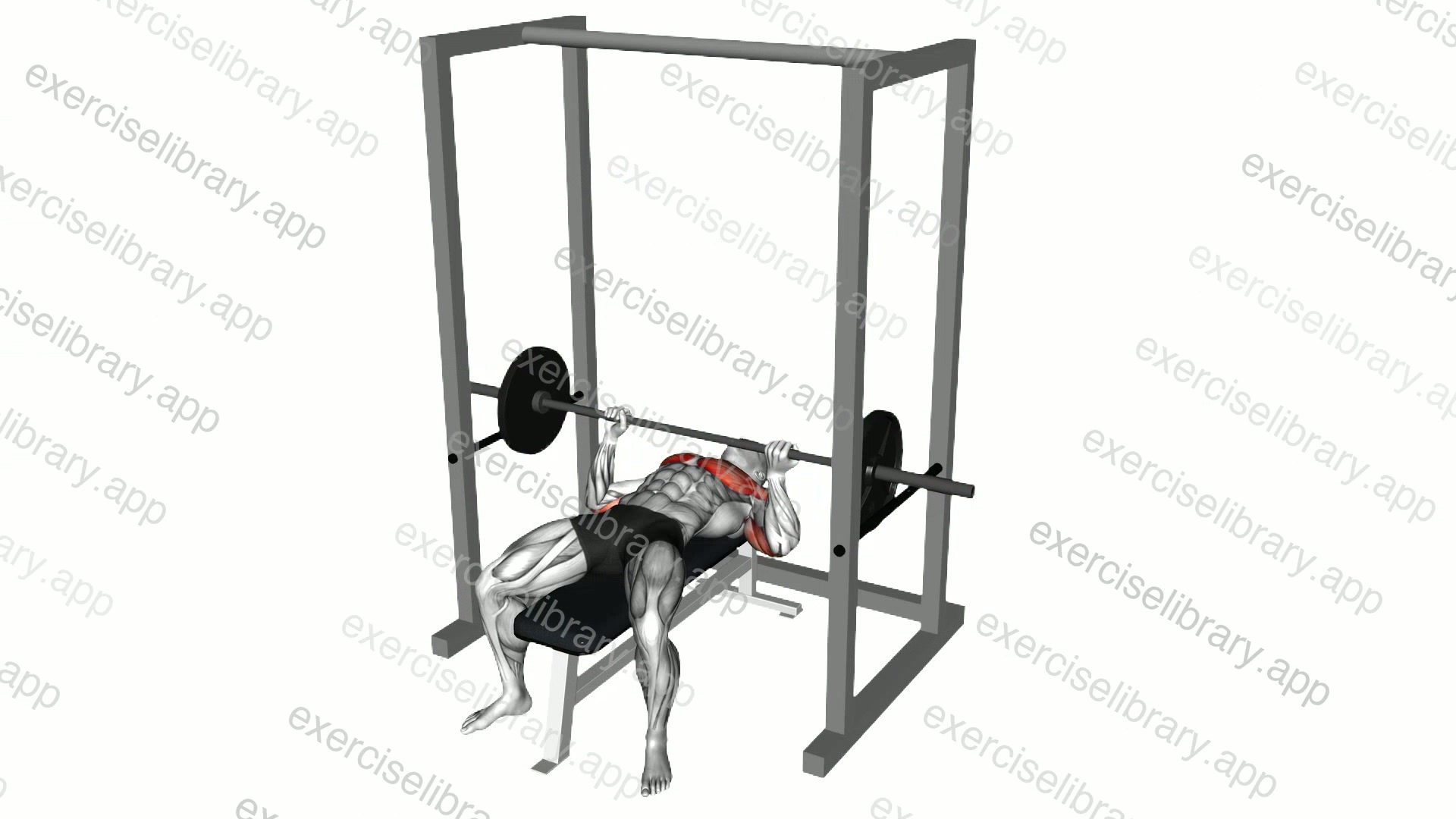 Barbell Pin Bench Press Conventional grip demonstration