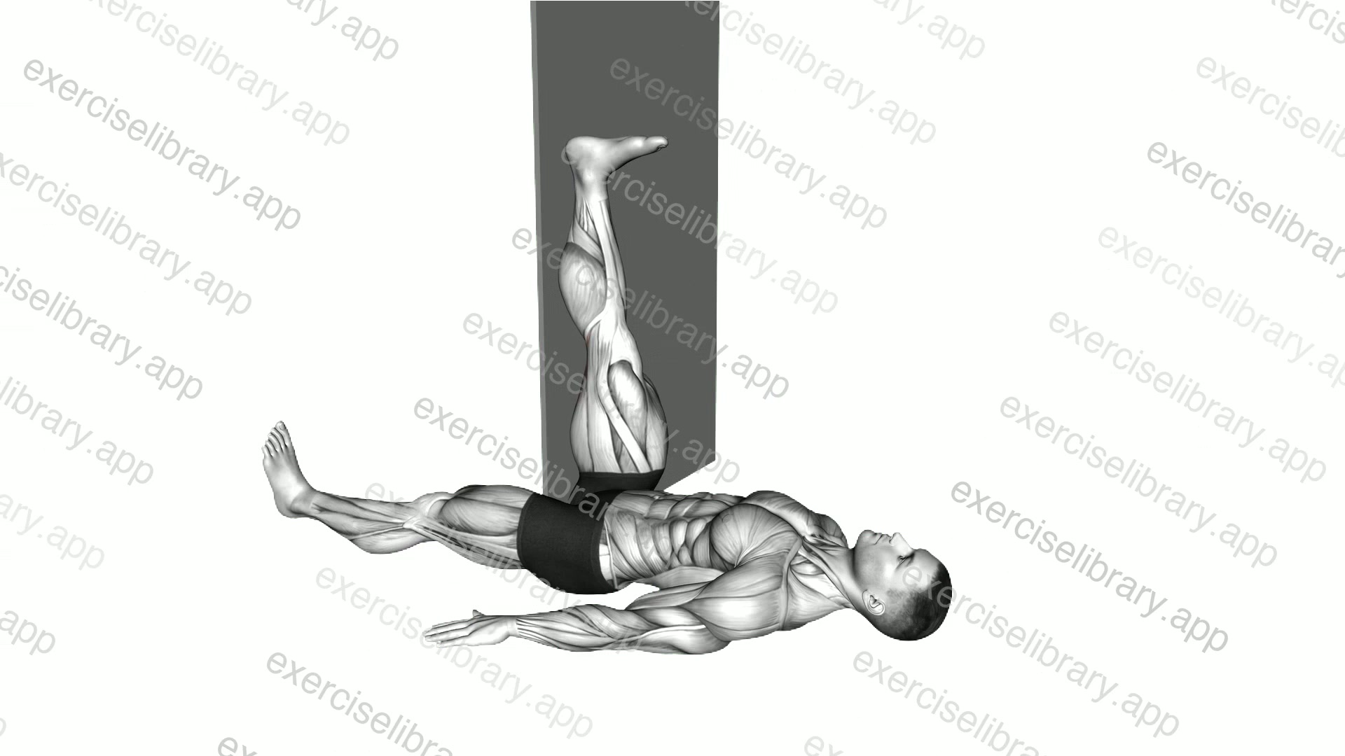 Lying Single Leg Hamstring Stretch against Wall demonstration