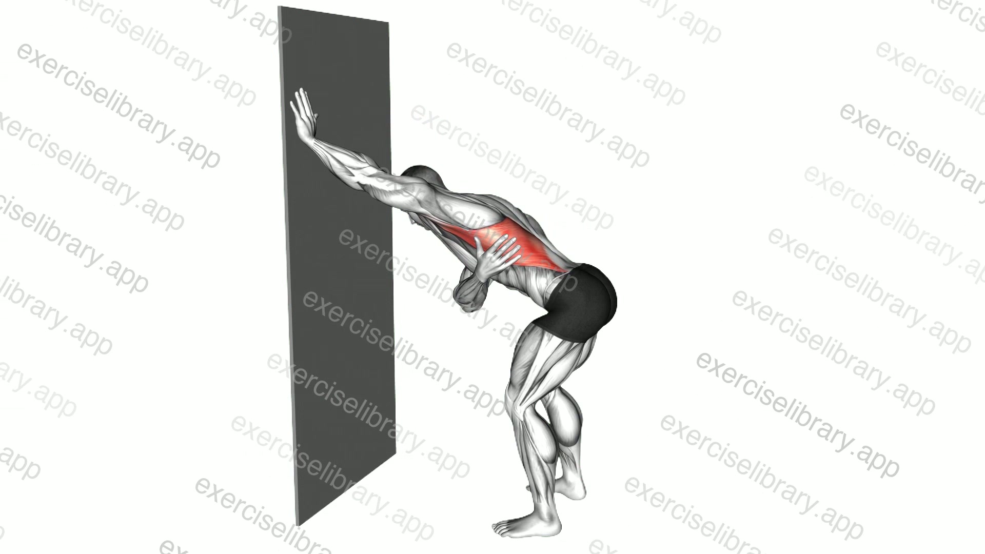 Single Arm Lat Stretch against Wall demonstration
